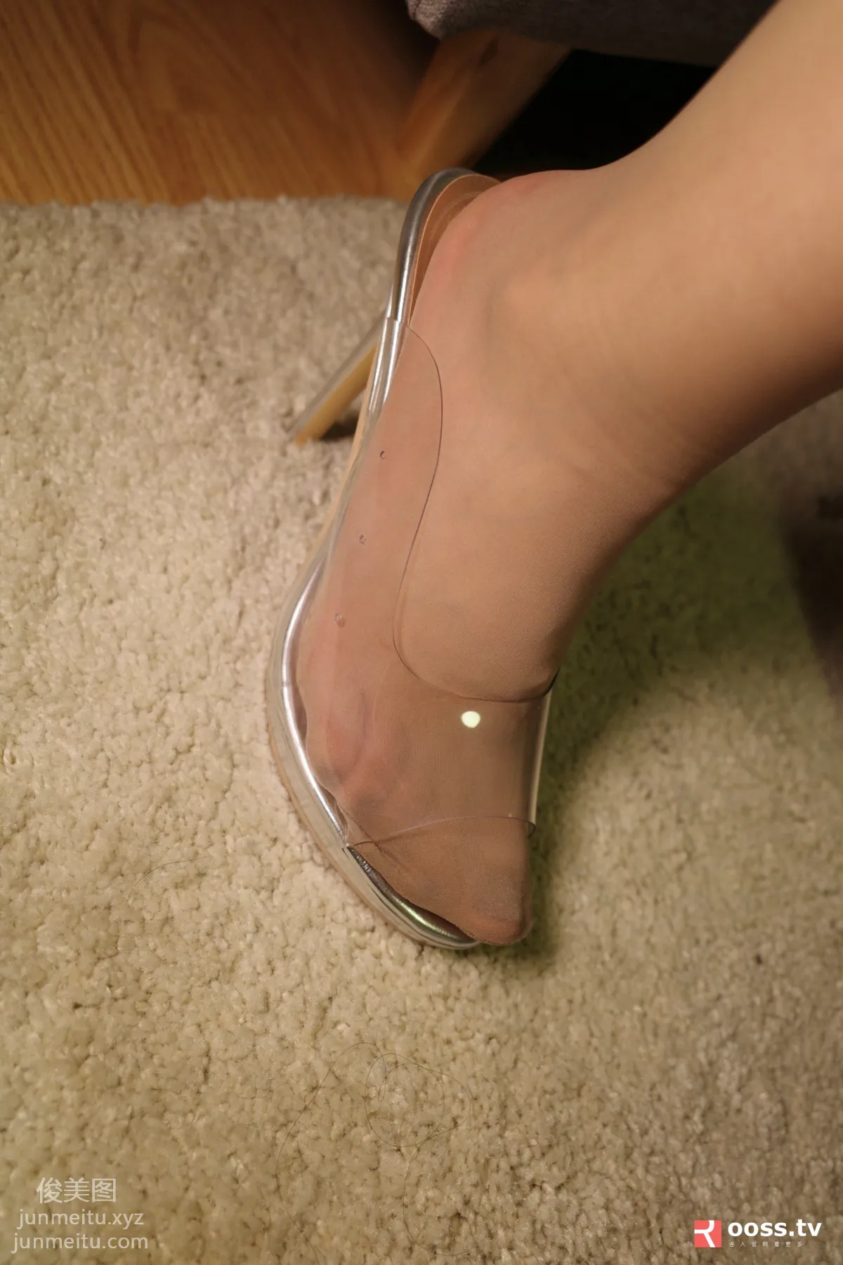 ROSI No. 3015 photo 2