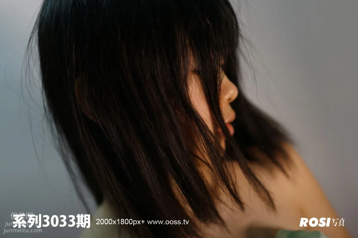 ROSI No. 3033 photo 54