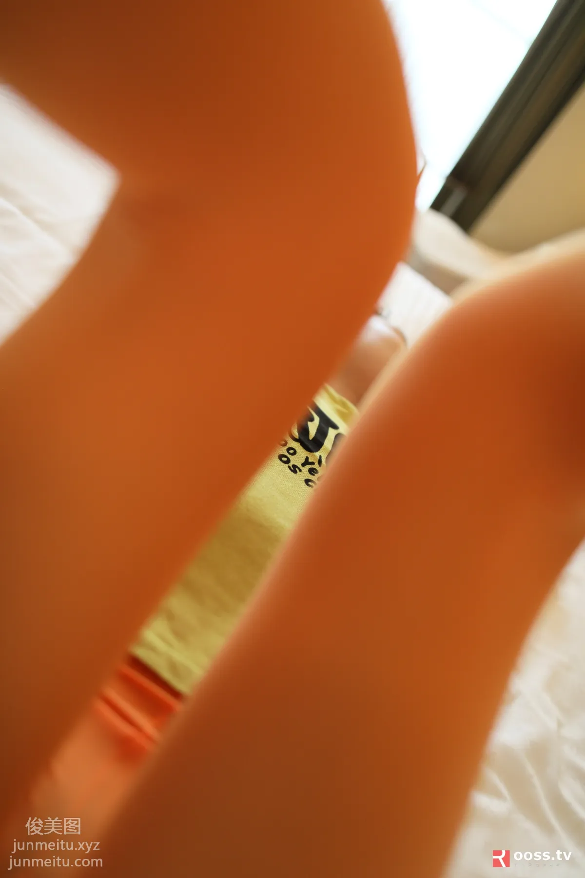 ROSI No. 3039 photo 13