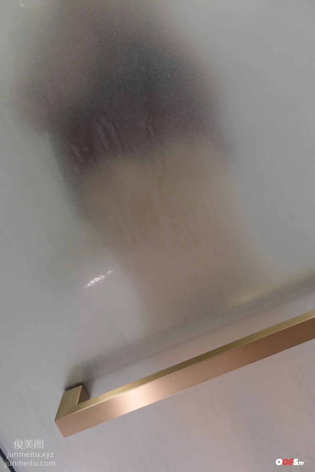 ROSI No. 3171 photo 45