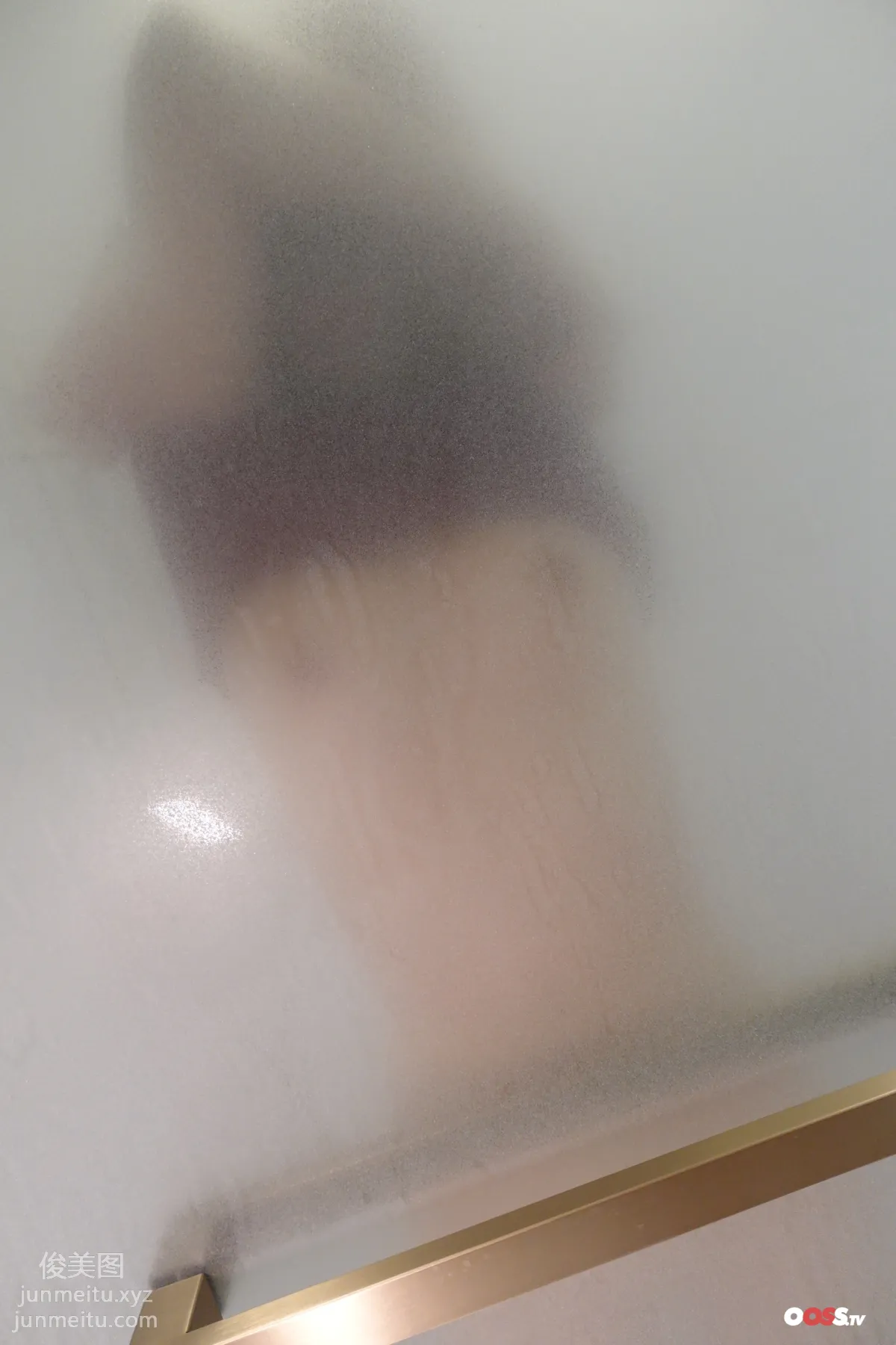 ROSI No. 3171 photo 46