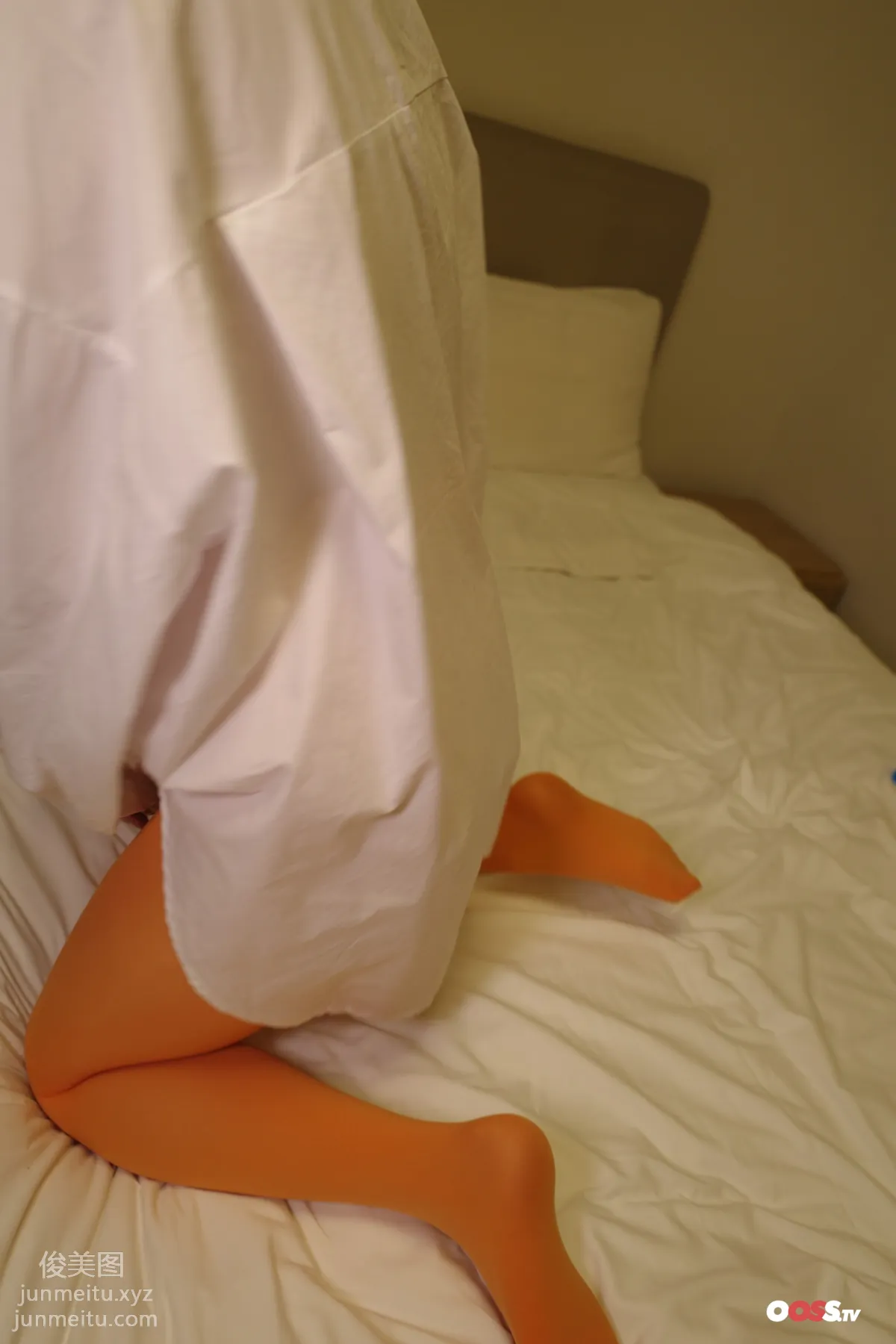 ROSI No. 3100 photo 16