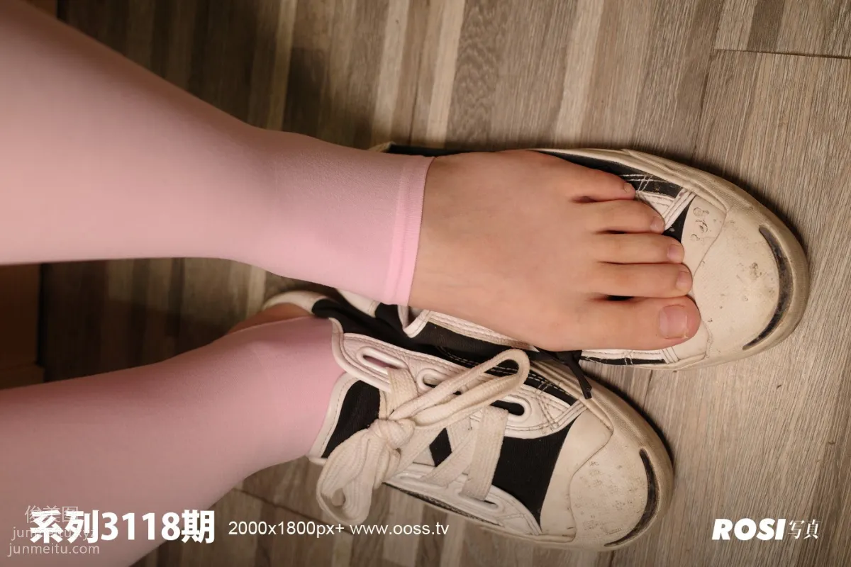 ROSI No. 3118 photo 48
