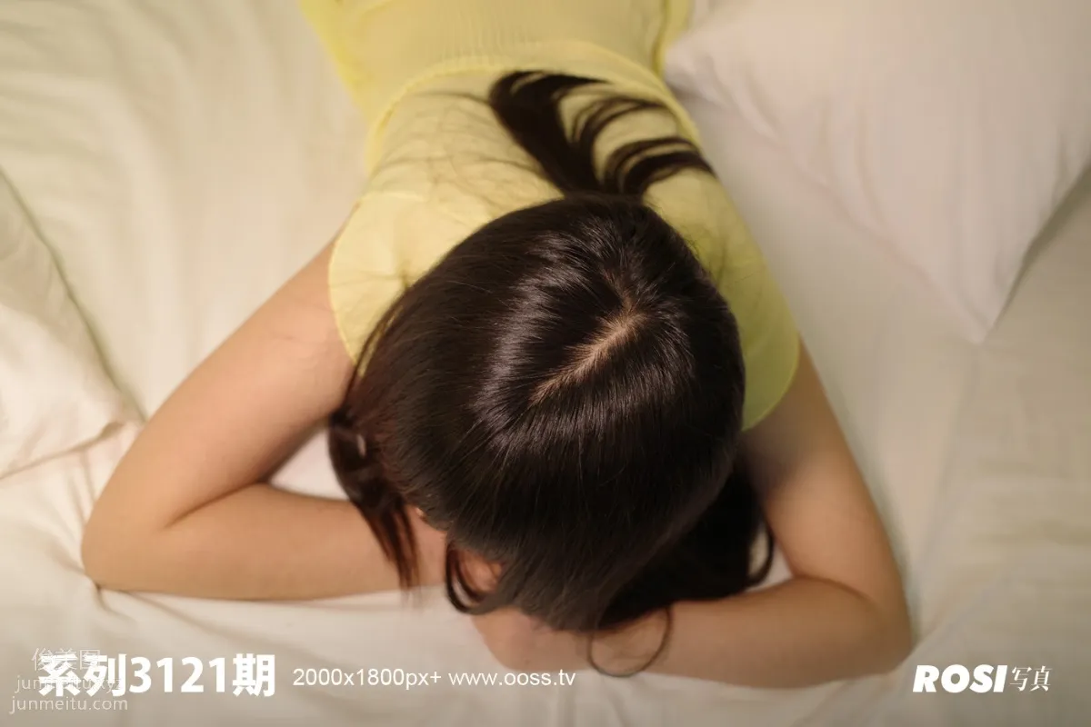 ROSI No. 3121 photo 49