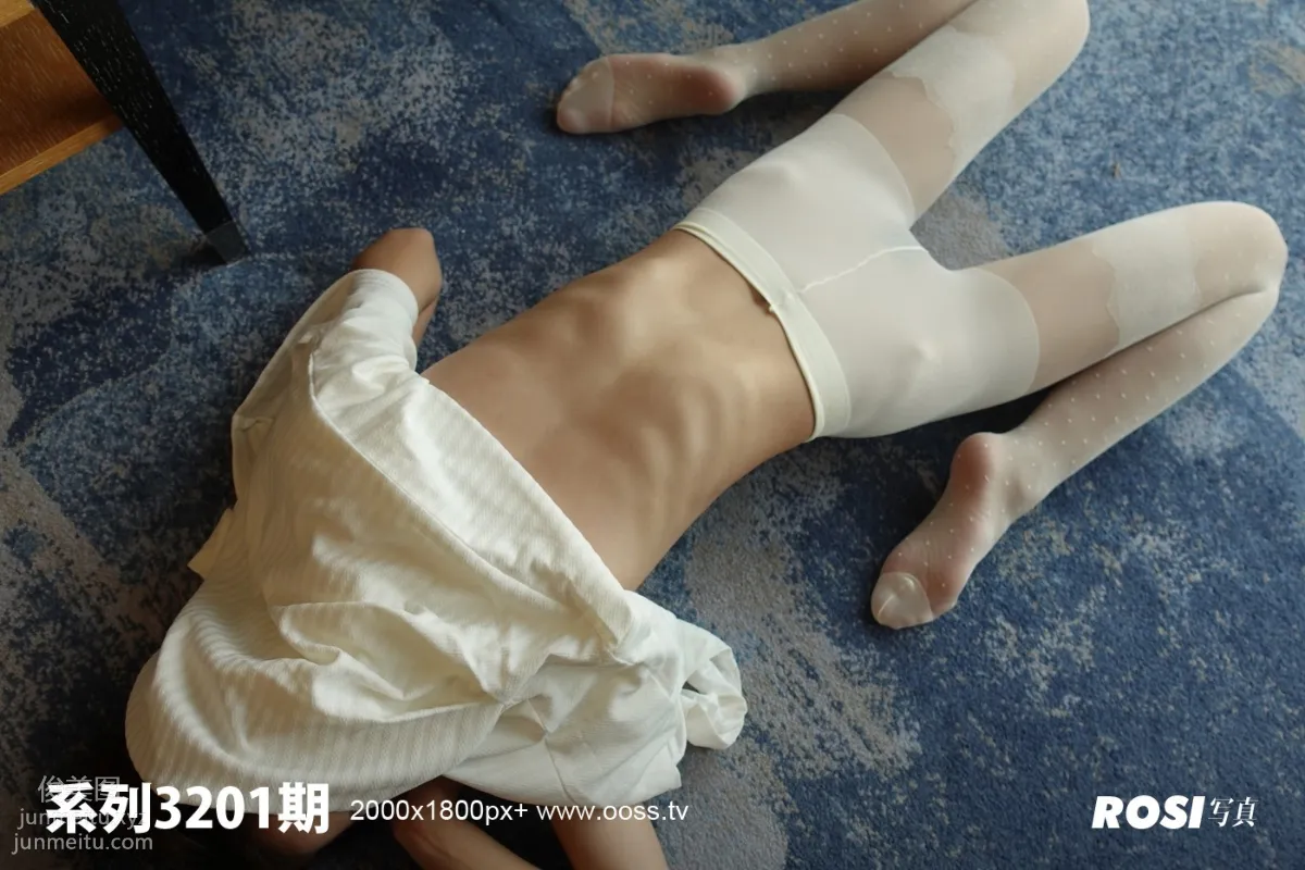 ROSI No. 3201 photo 42