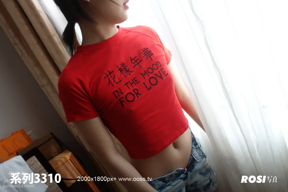 ROSI No. 3310 photo 34