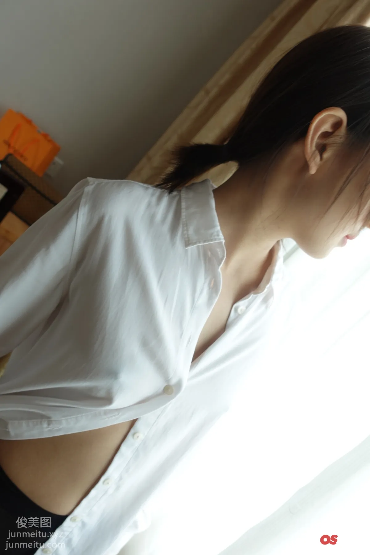 ROSI No. 3313 photo 3