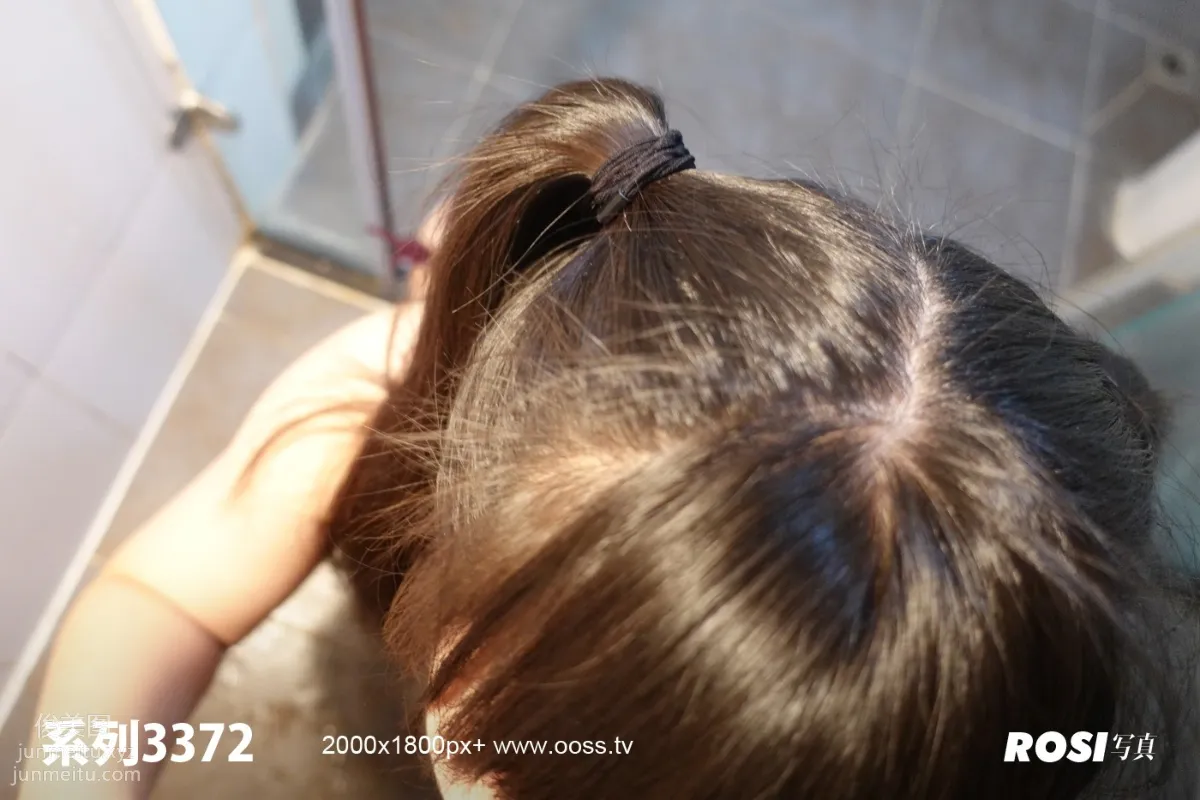 ROSI No. 3372 photo 72