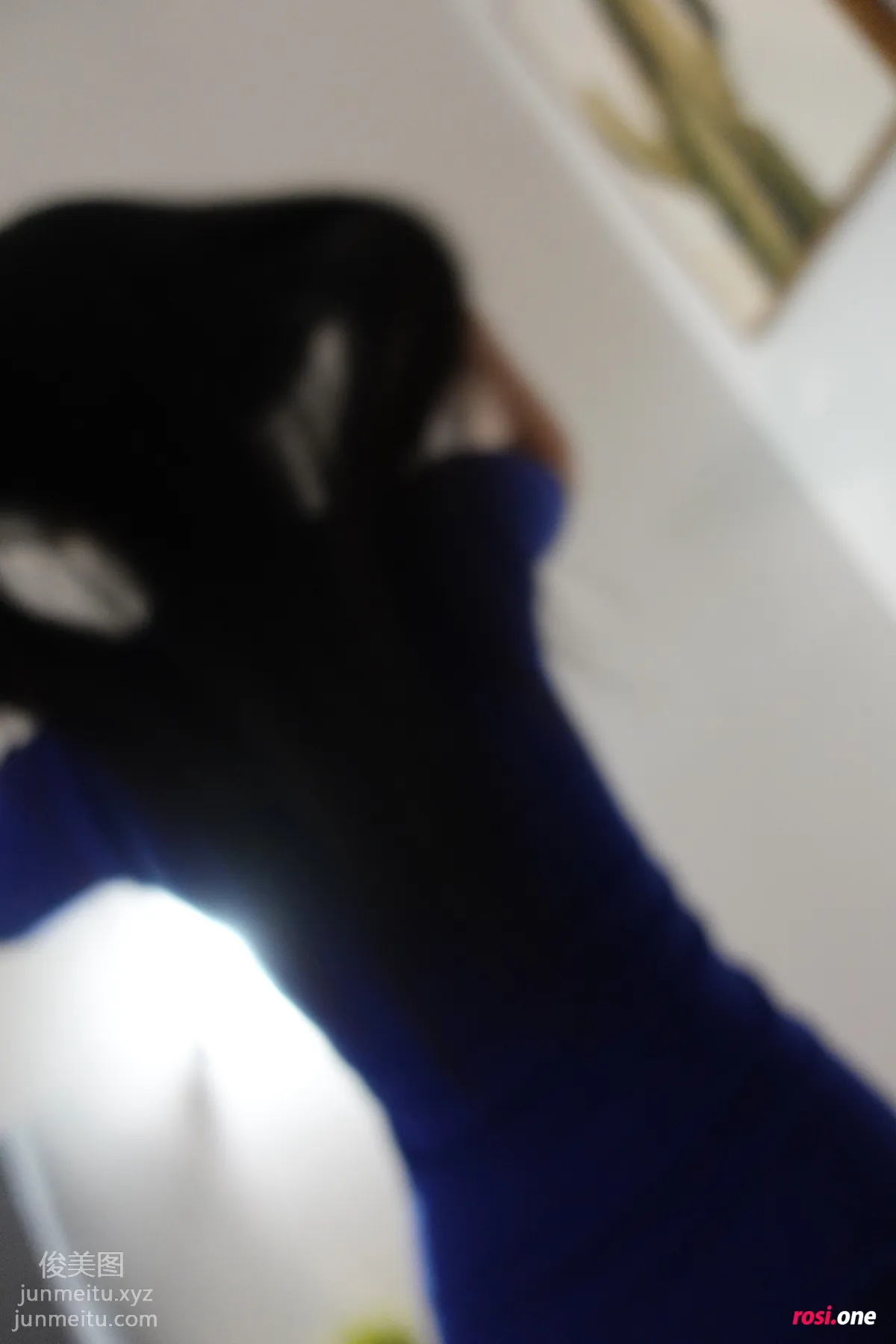 ROSI No. 3441 photo 11