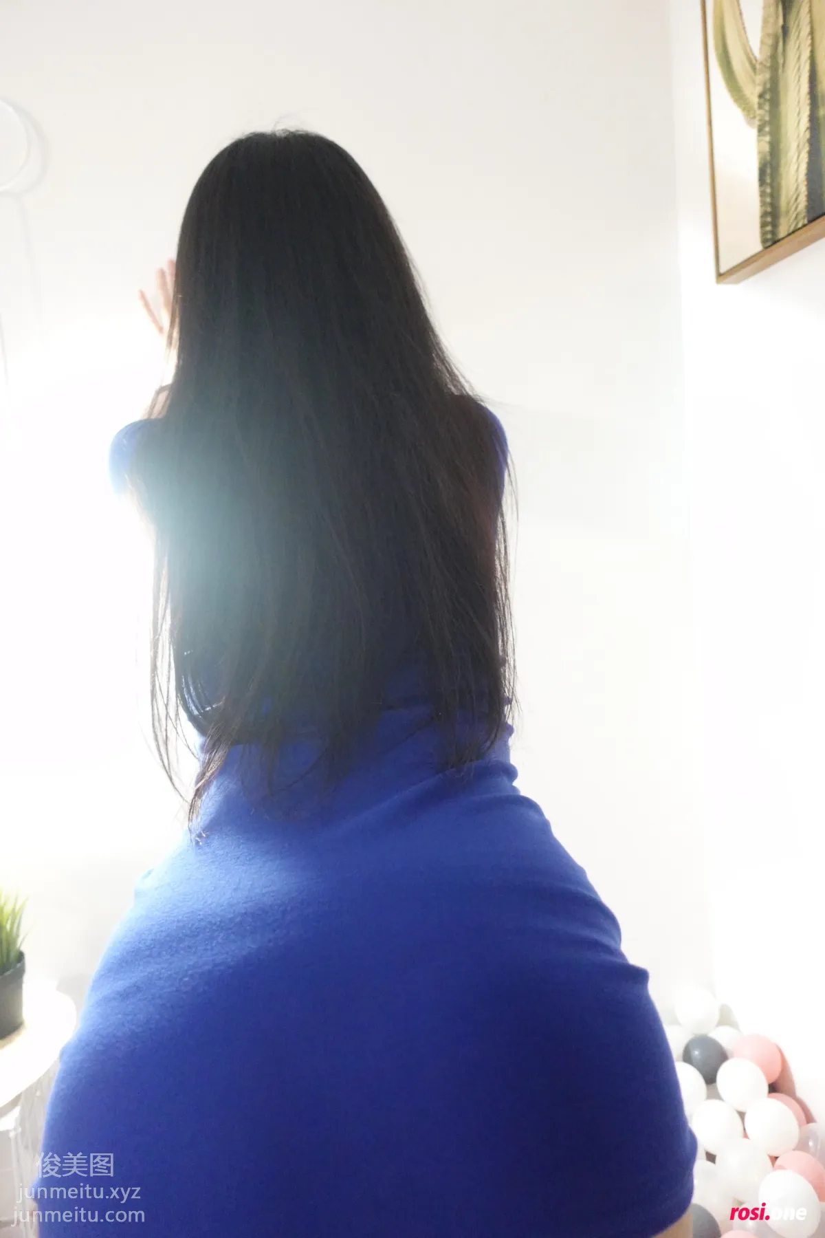 ROSI No. 3441 photo 17
