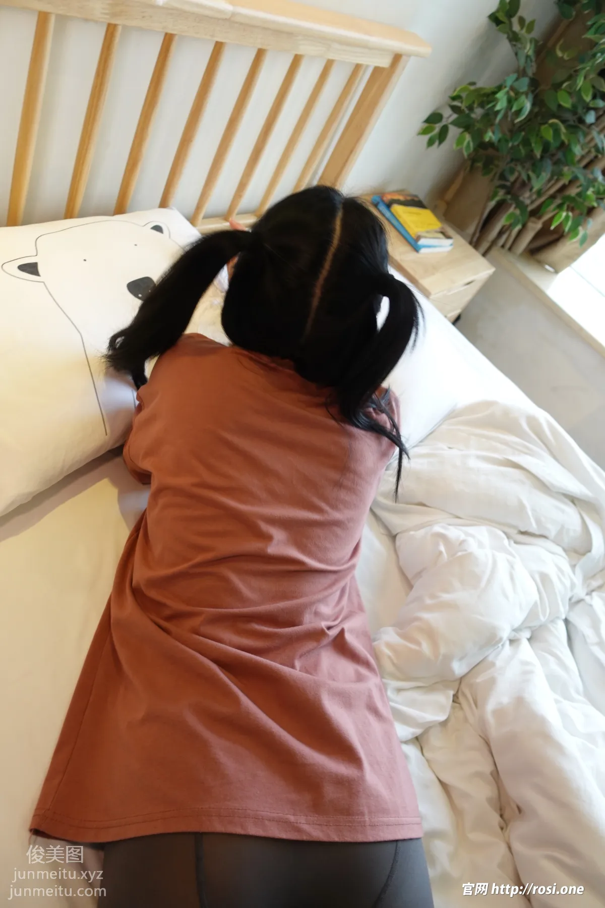 ROSI No. 3777 photo 47