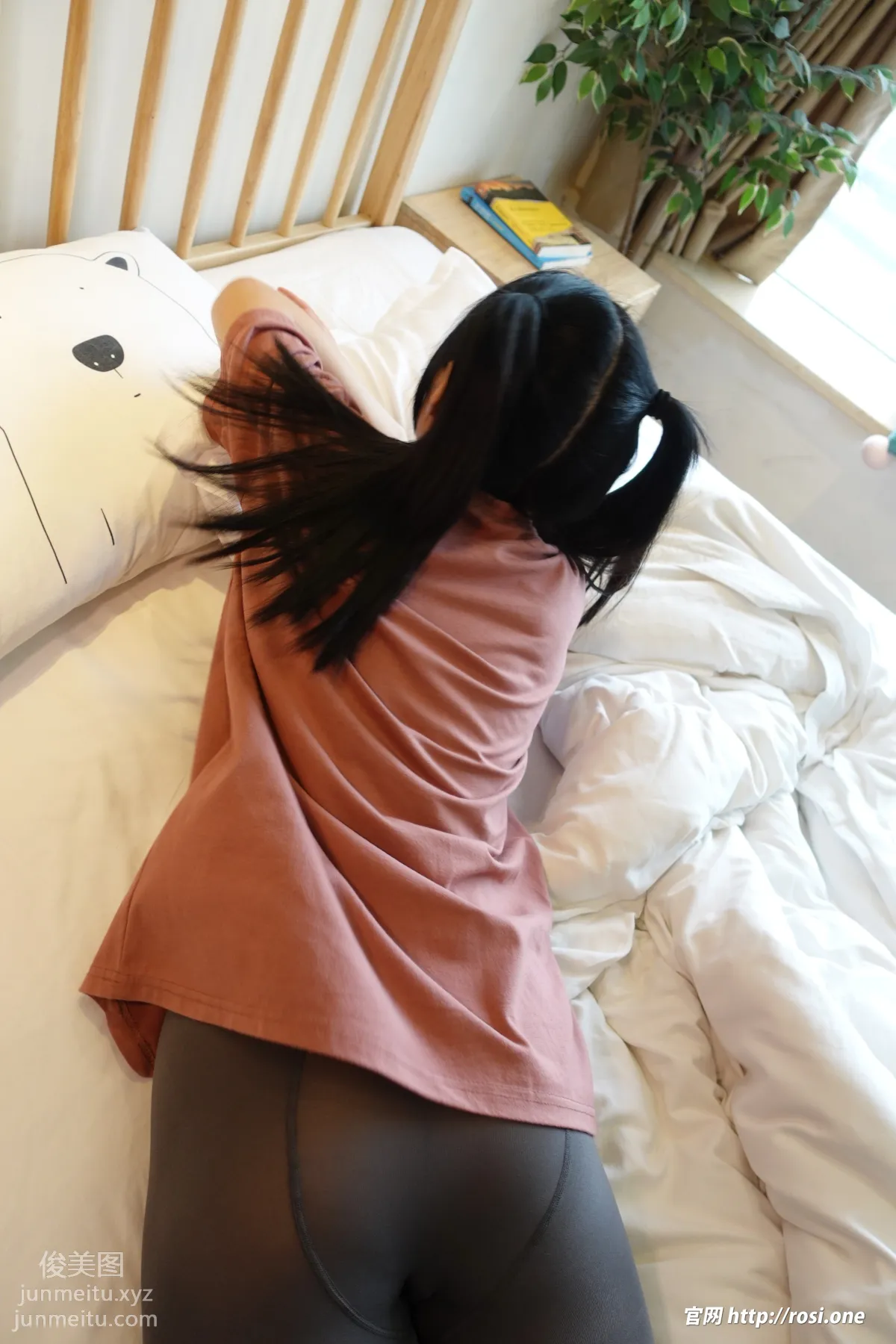 ROSI No. 3777 photo 48