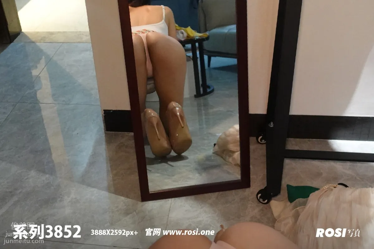 ROSI No. 3852 photo 86