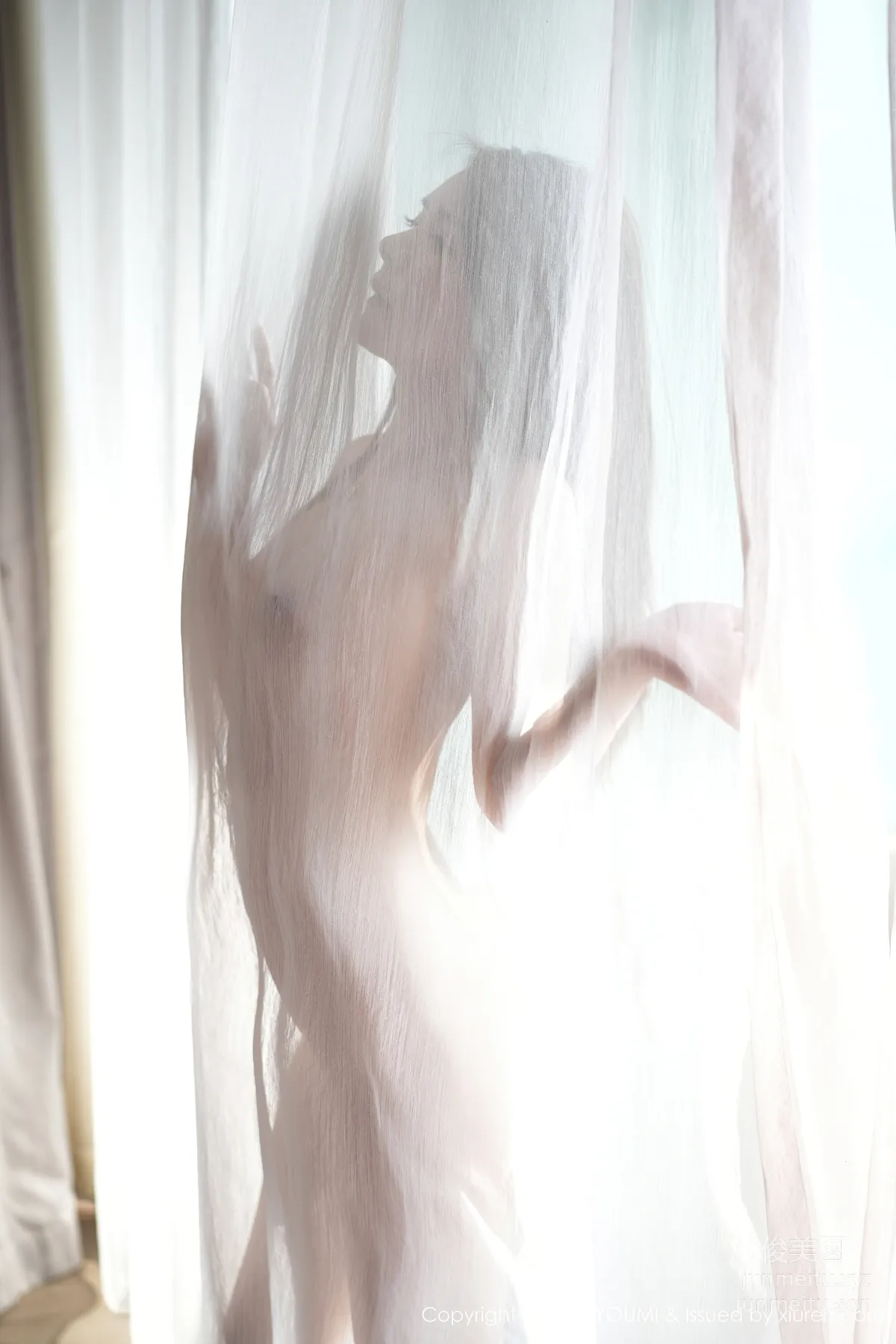 [YouMi] 2024.04.24 VOL.1055 Youguo Wangfei Er photo 68