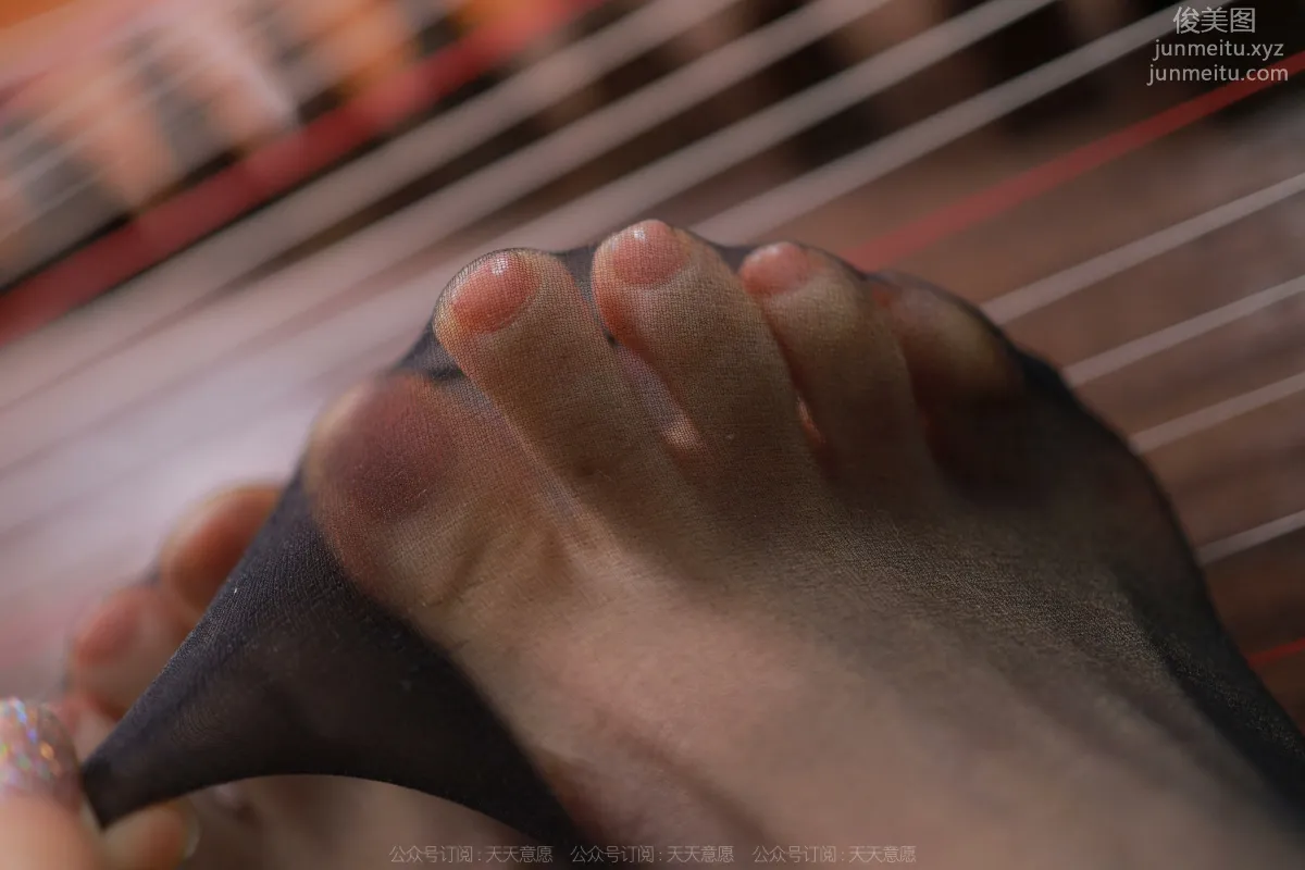Xiao Liu: IESS No. 1071 photo 29