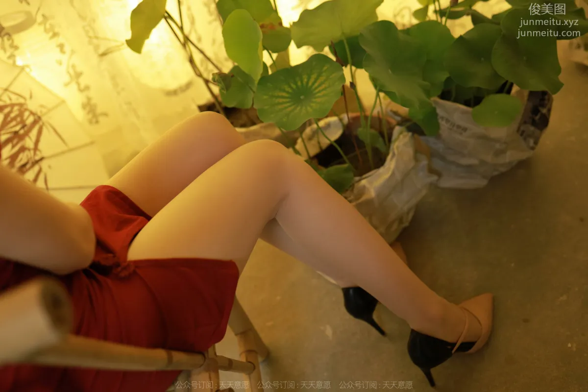 Mi Mi: IESS No. 1177 photo 28