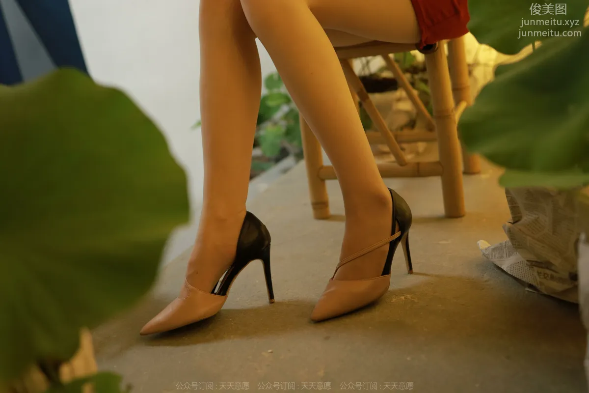 Mi Mi: IESS No. 1177 photo 35