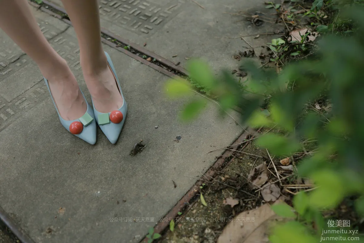Jia Ye: IESS No. 889 photo 9