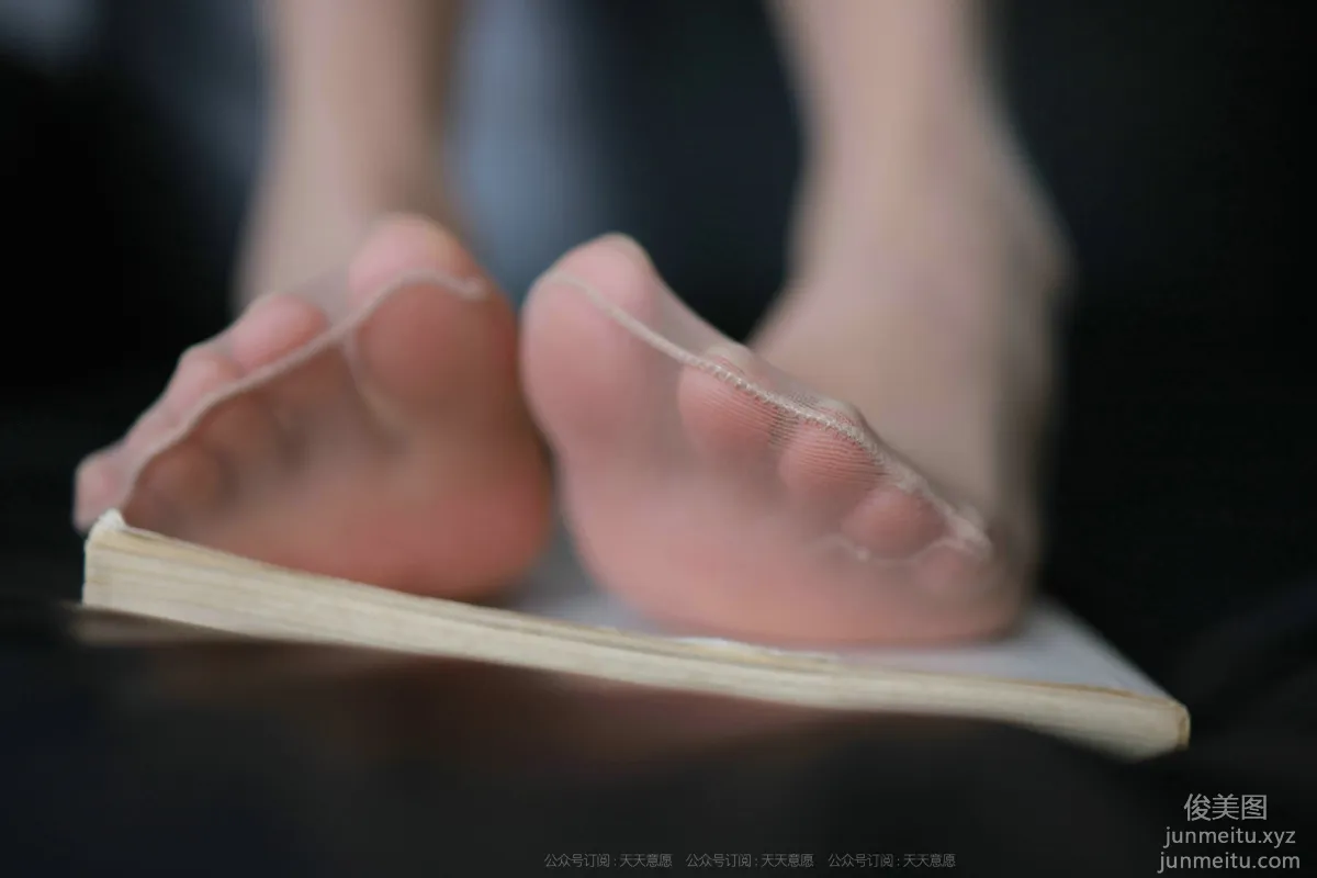 Wan Pin: IESS No. 942 photo 33