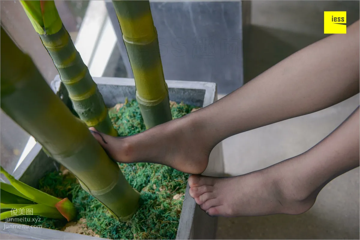 [IESS] 2018.08.26 Silk Feet Bento 264: Dream Murmur 3, Free, Jie Da photo 66