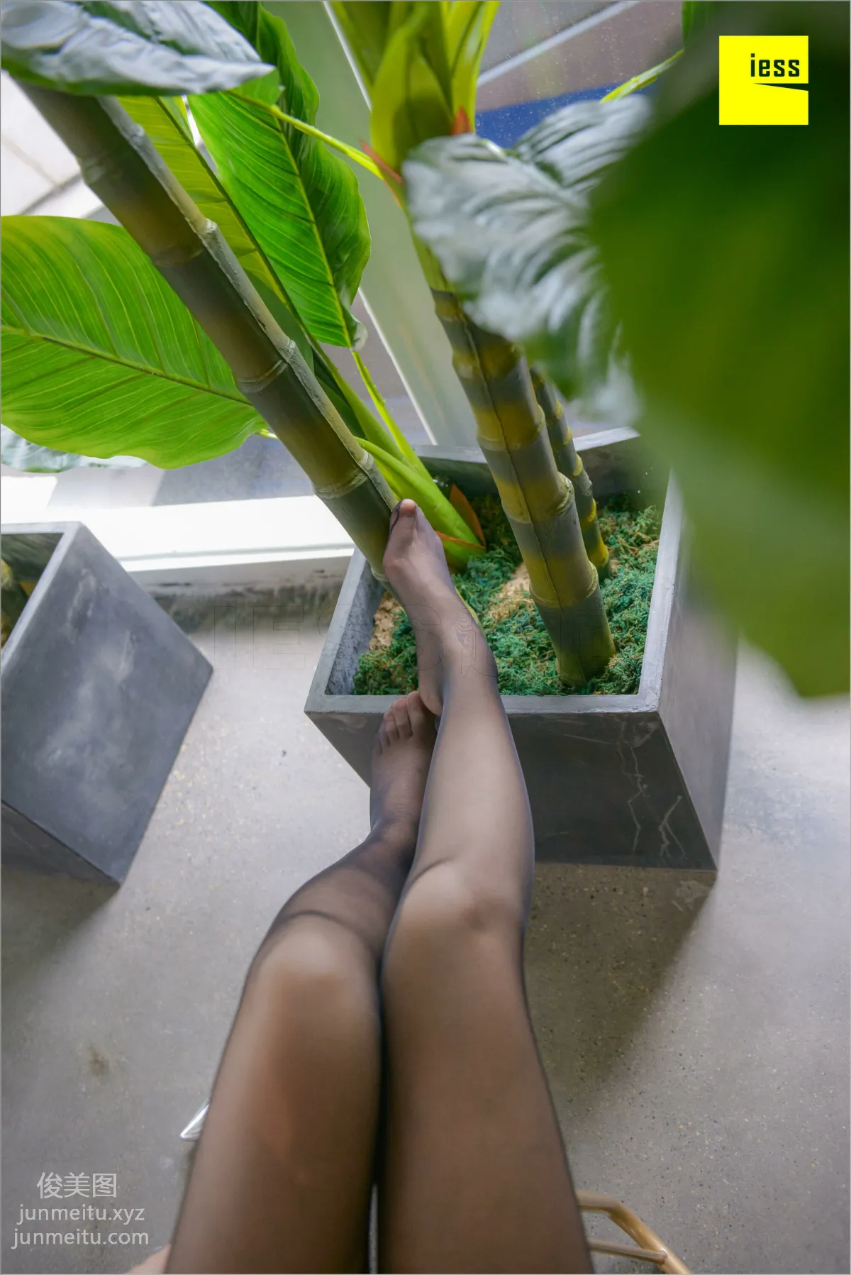 [IESS] 2018.08.26 Silk Feet Bento 264: Dream Murmur 3, Free, Jie Da photo 67
