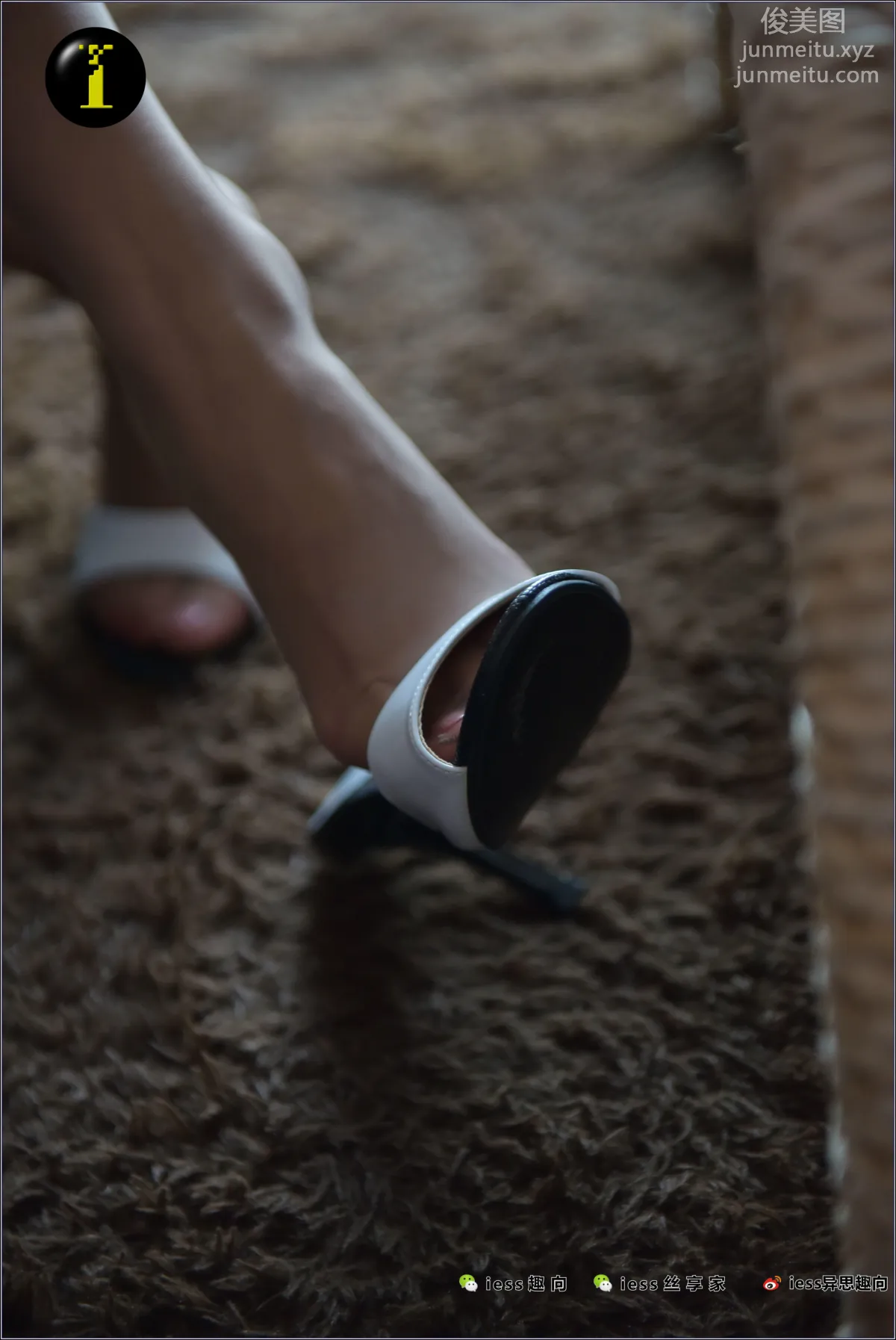 [IESS] Pu Hui Collection 025 Shan Shan, A Pair of Beautiful Feet That Should Not Be Buried photo 94
