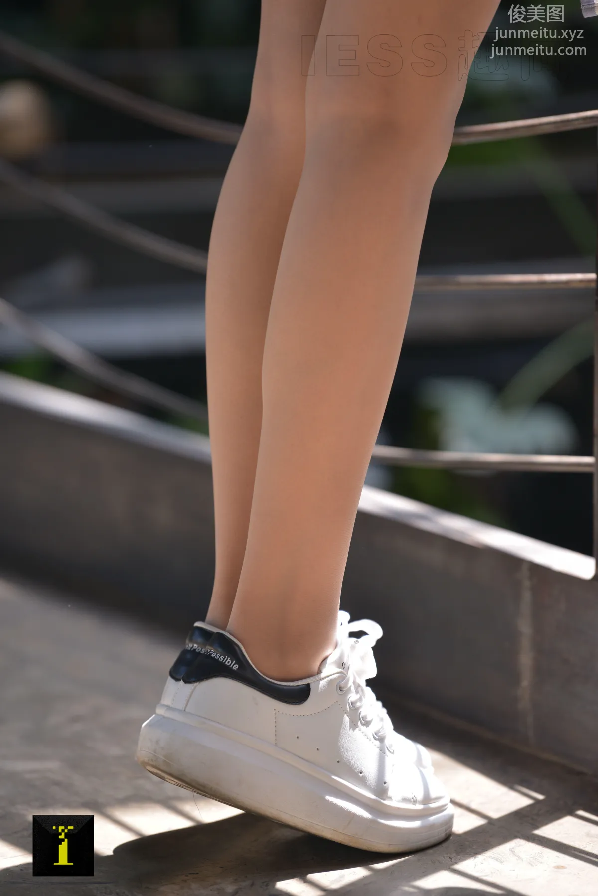 A Li: IESS No. 153 photo 7