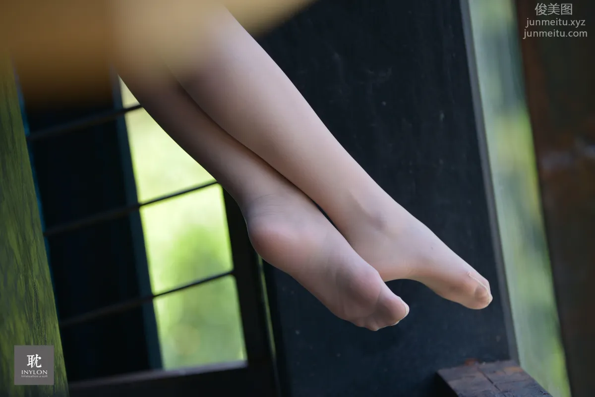 A Li: IESS No. 238 photo 49