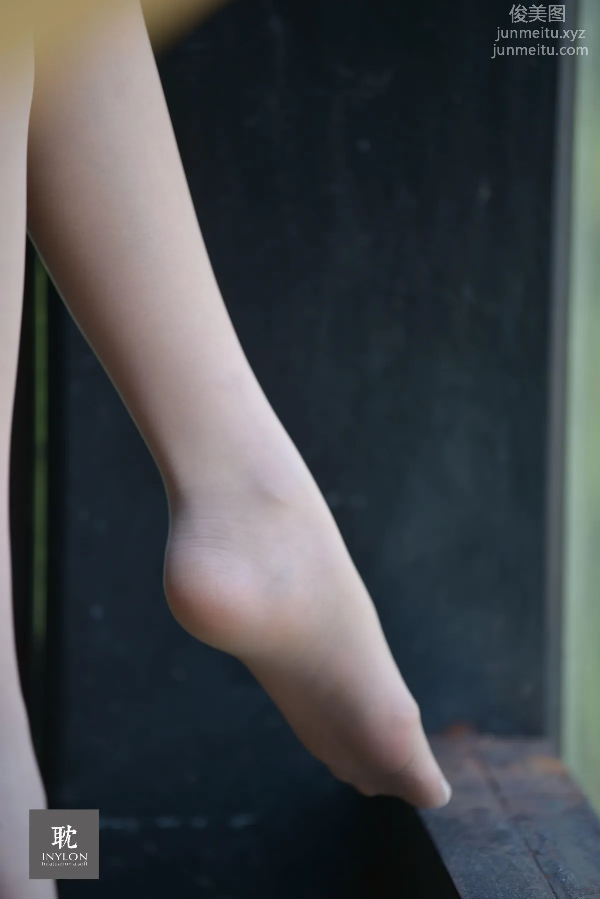 A Li: IESS No. 238 photo 60