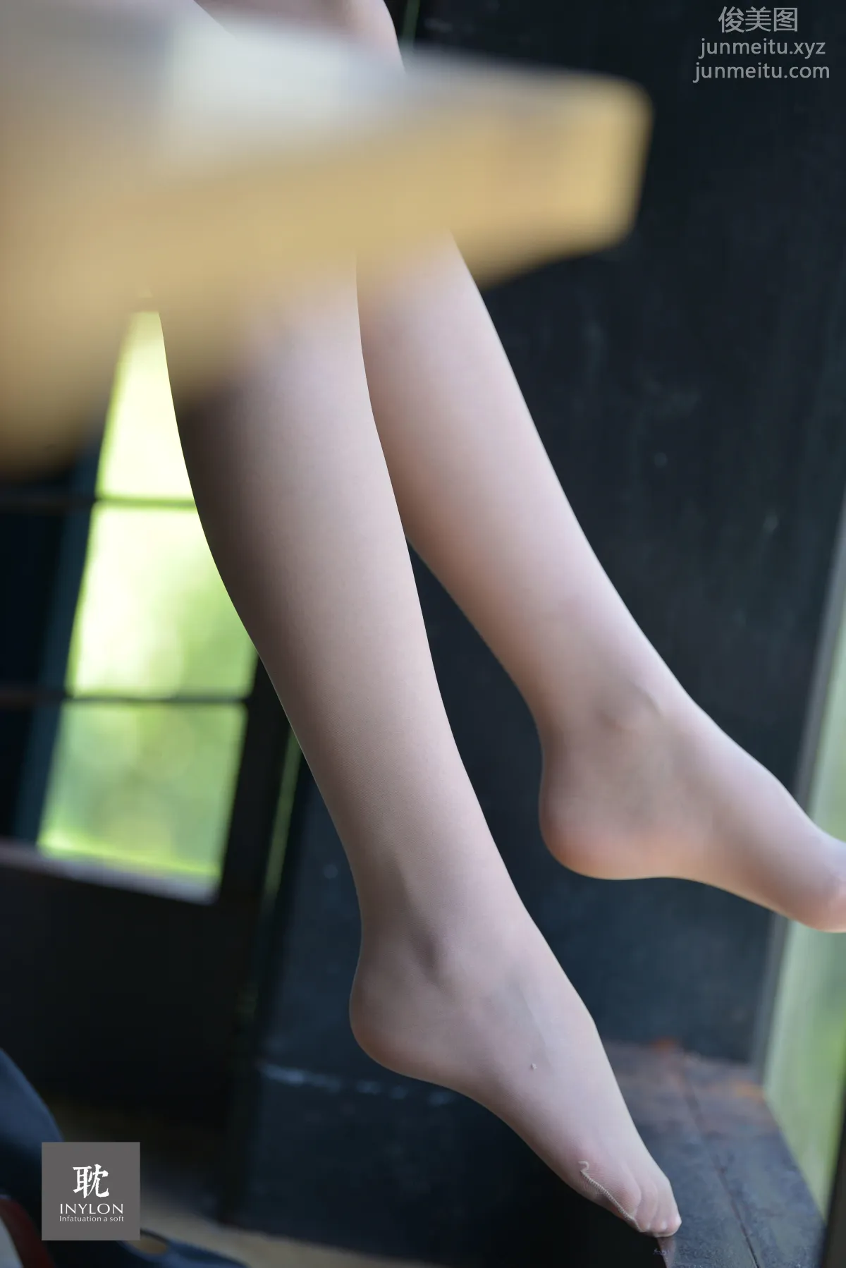 A Li: IESS No. 238 photo 61