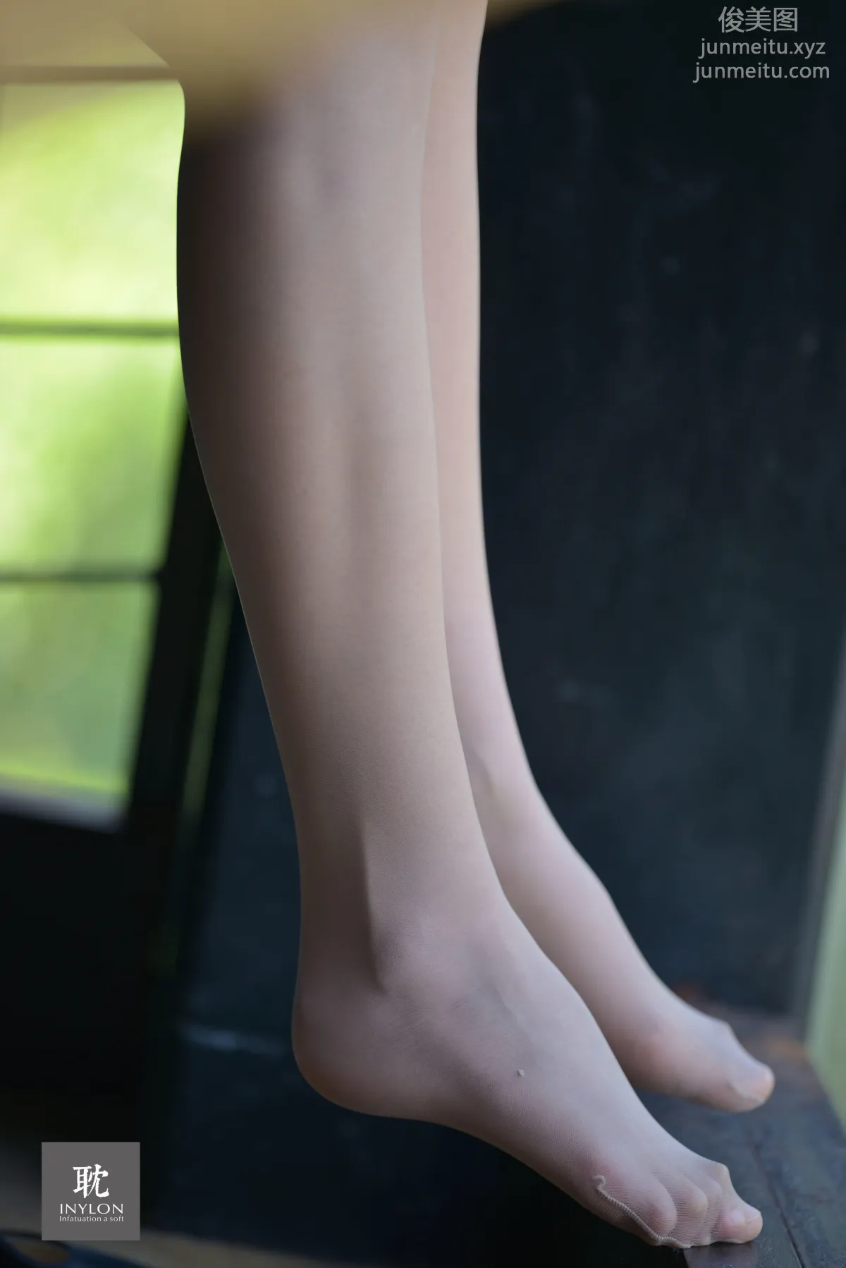 A Li: IESS No. 238 photo 62