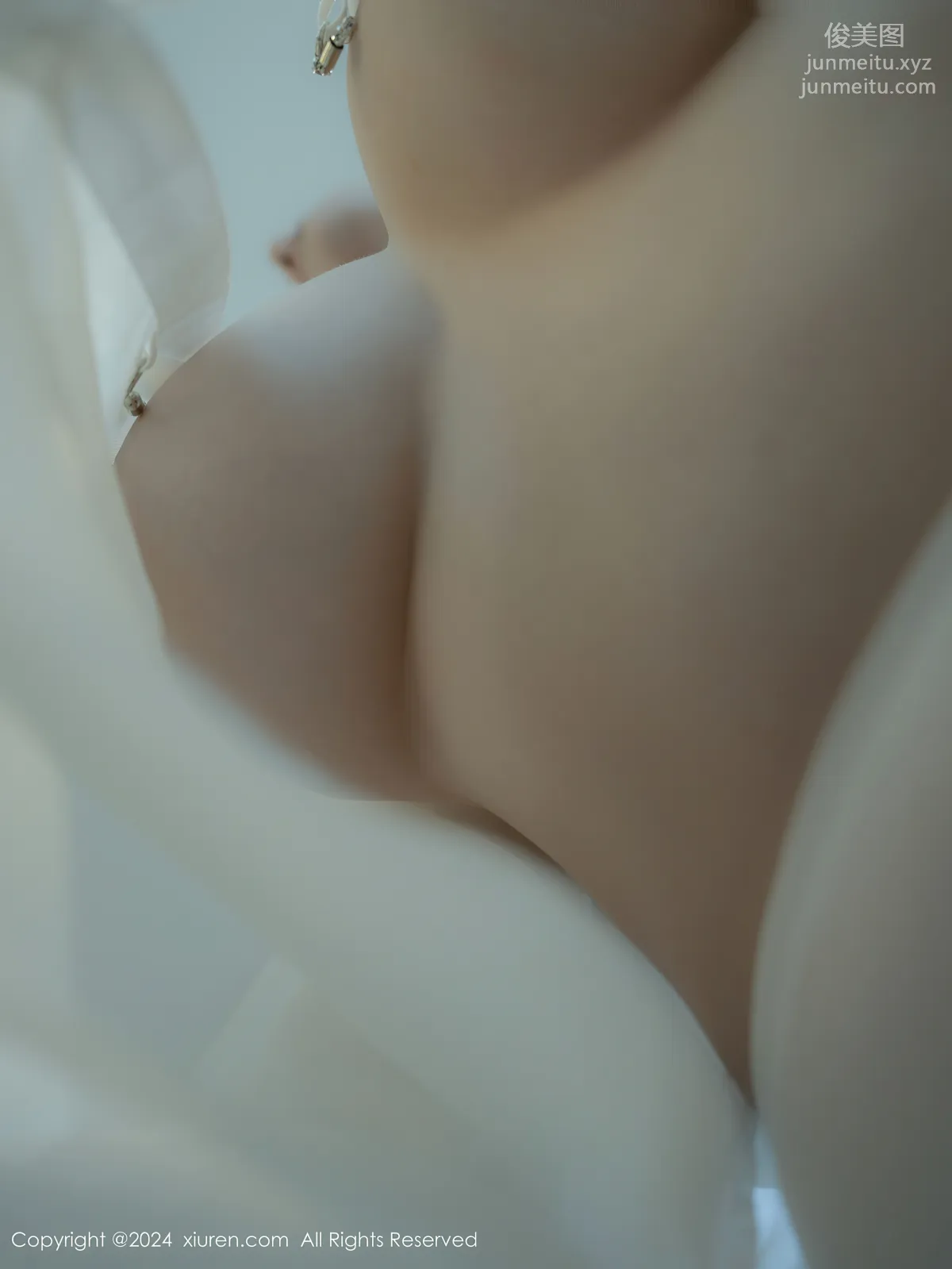[Xiuren秀人網]2024.12.27 NO.9667 袁圓 33