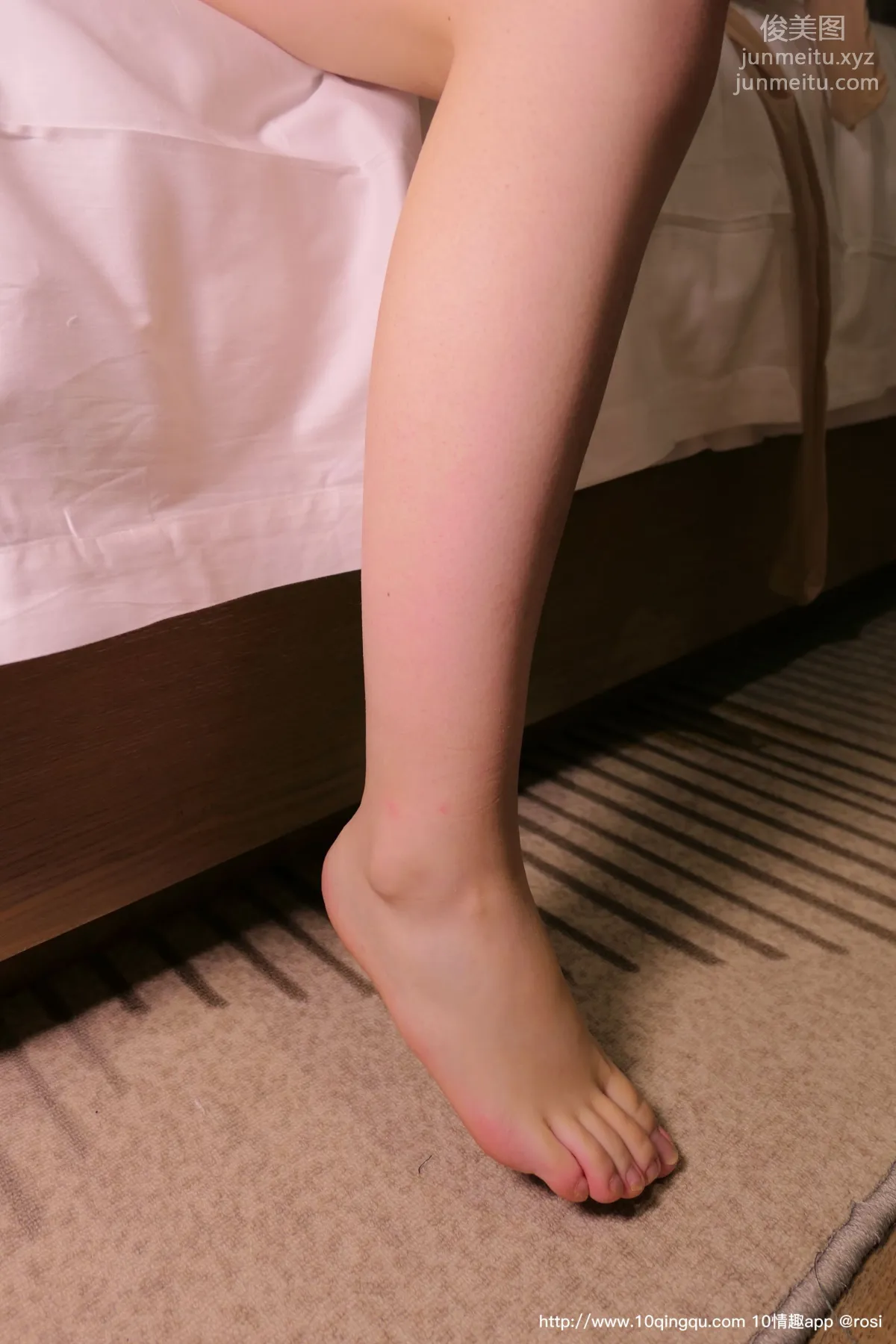 ROSI No. 1321 photo 3