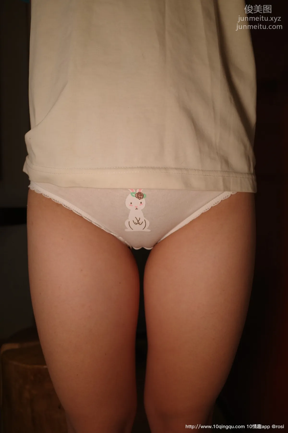 ROSI No. 1377 photo 8