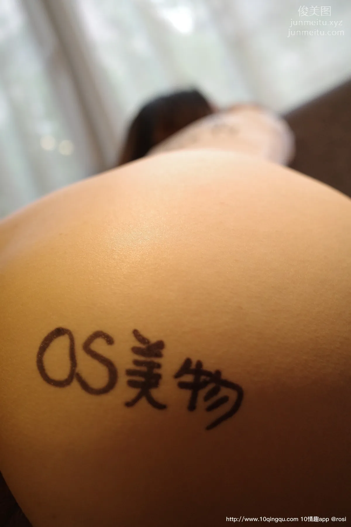 ROSI No. 1451 photo 74