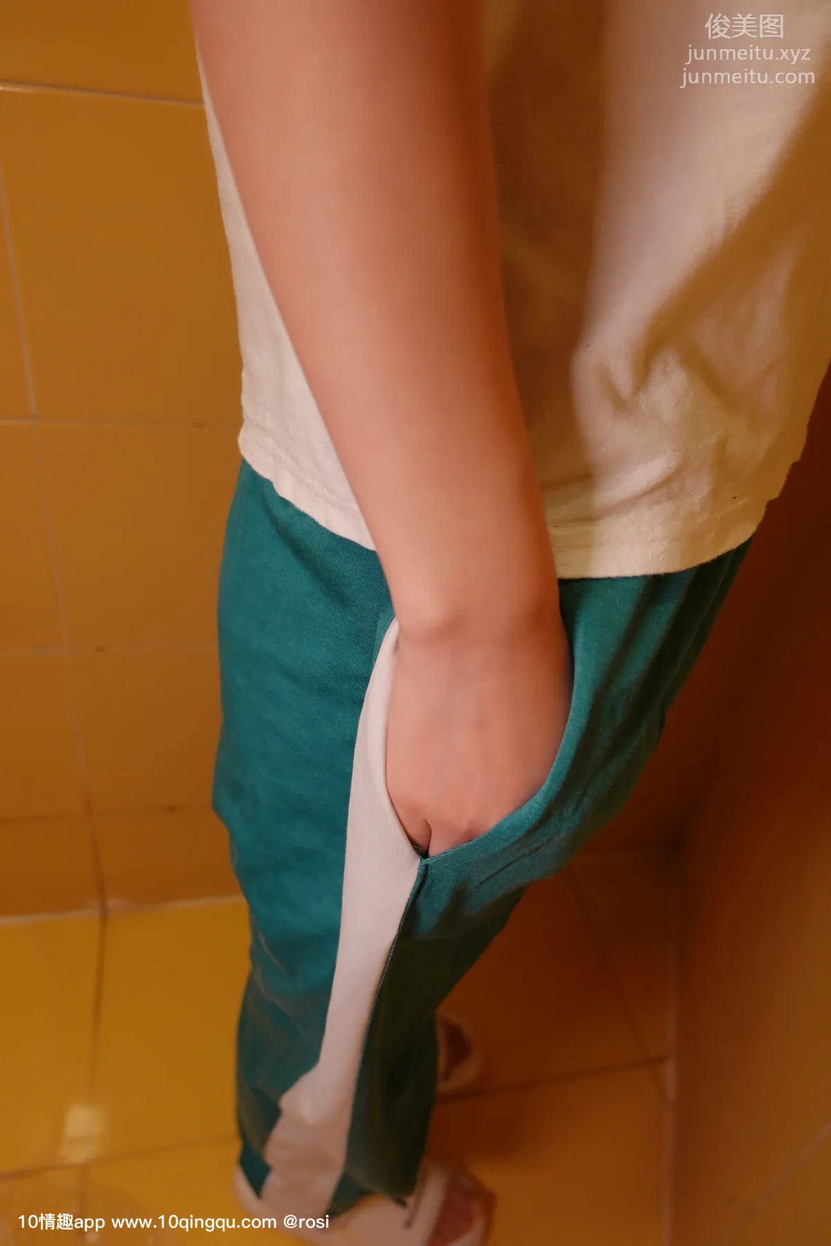 ROSI No. 1128 photo 5