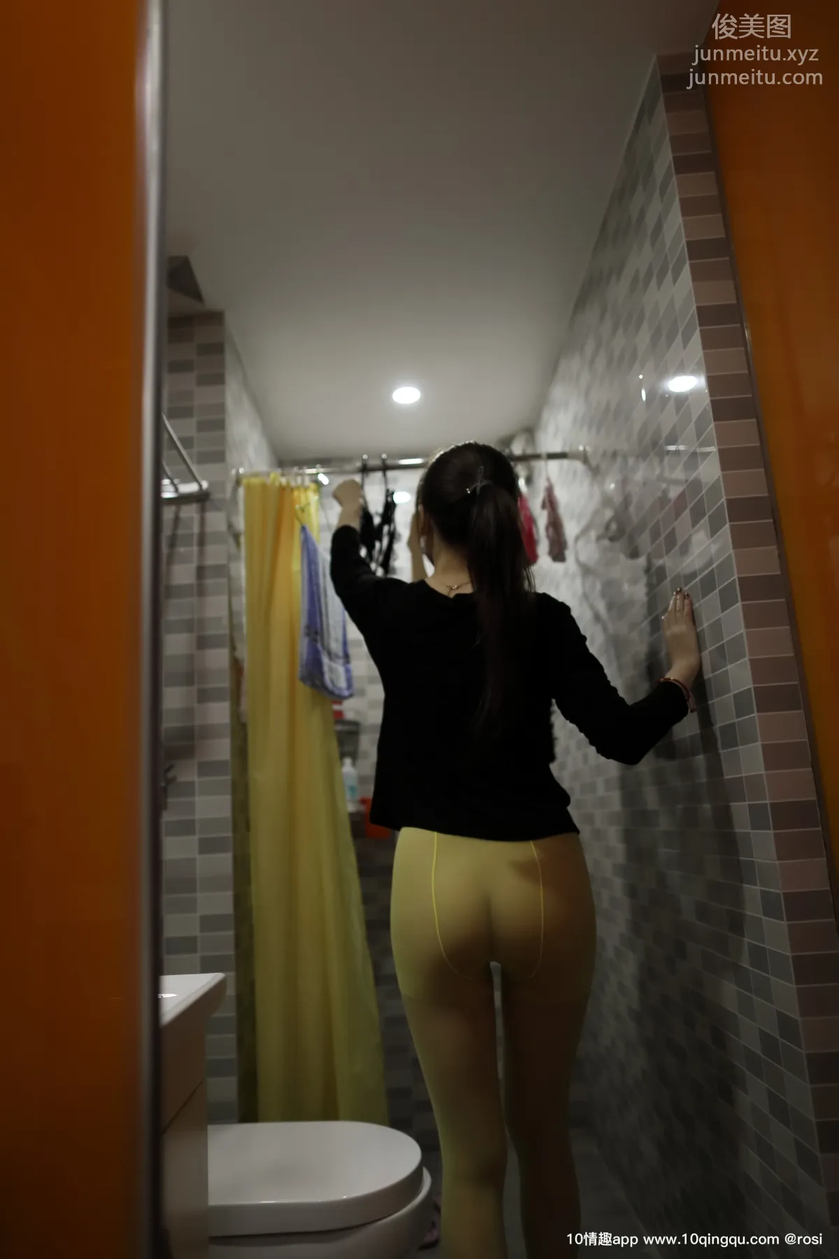 ROSI No. 1141 photo 7