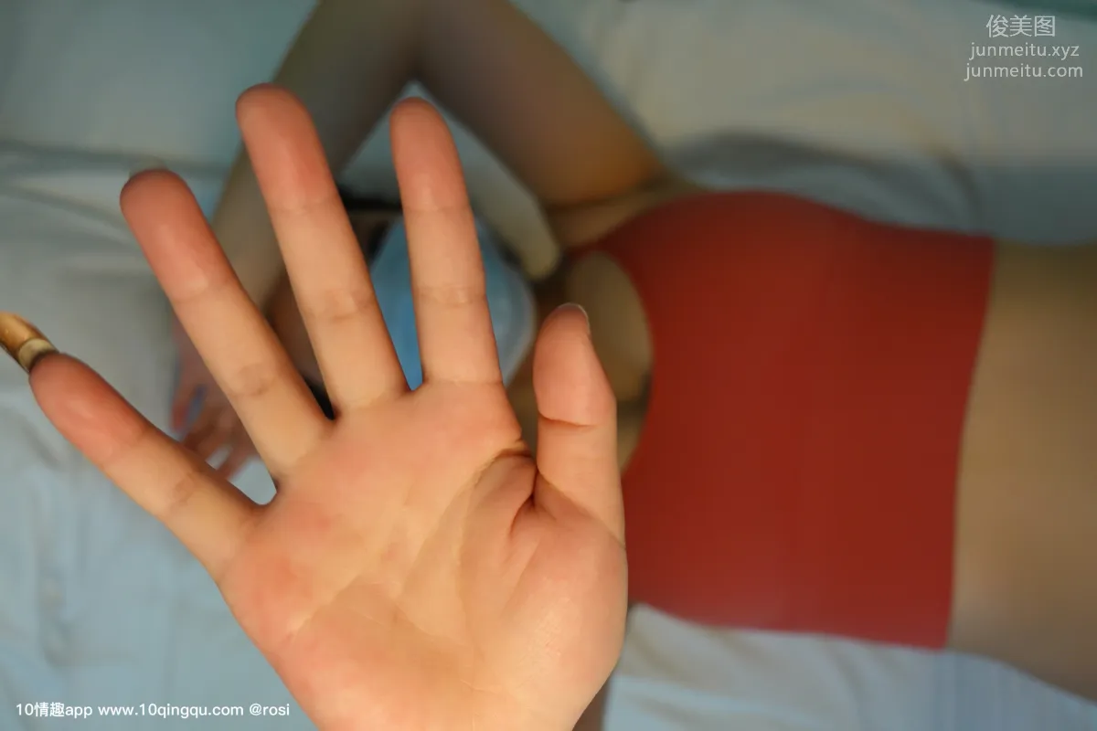 ROSI No. 1154 photo 18