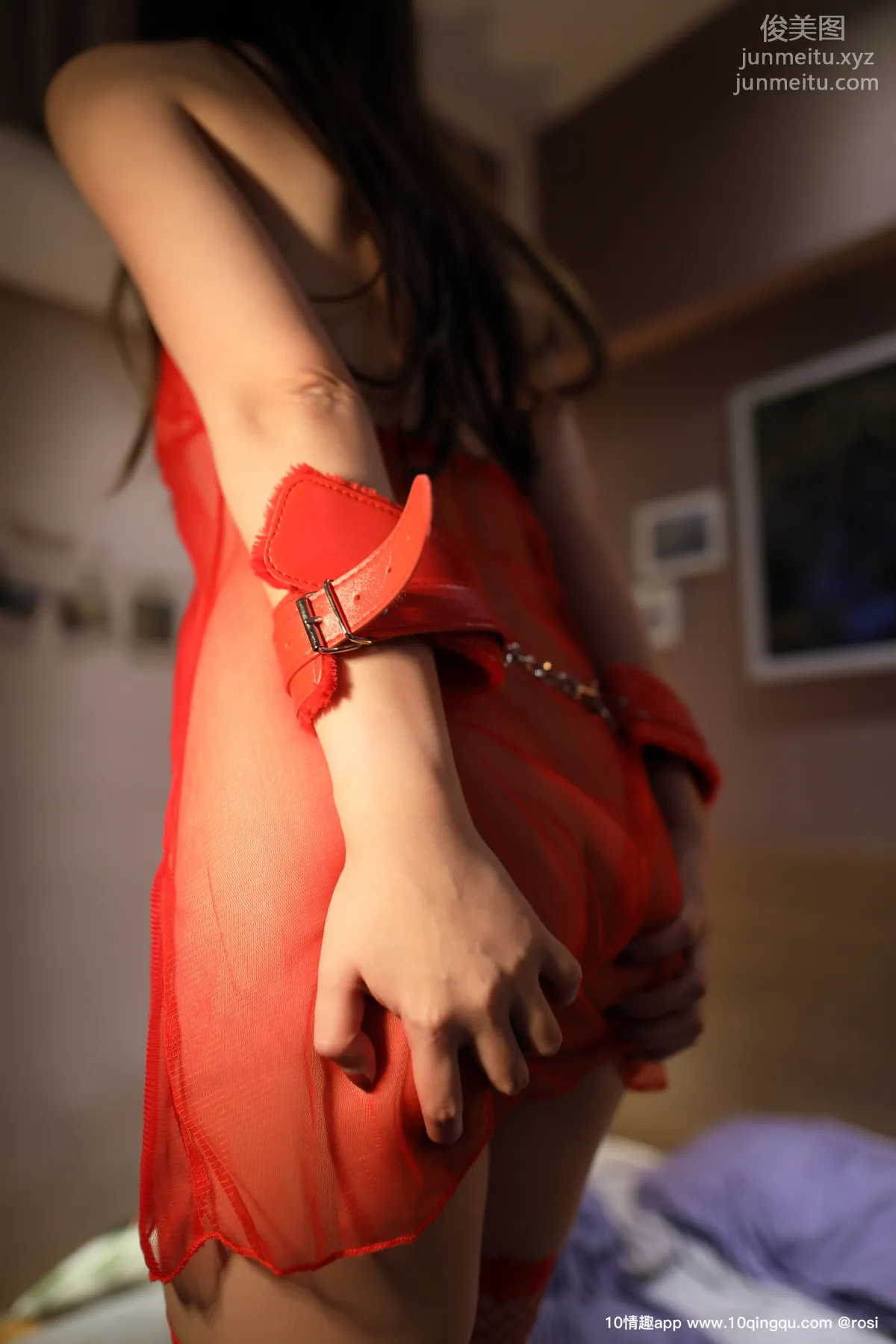 ROSI No. 1184 photo 8