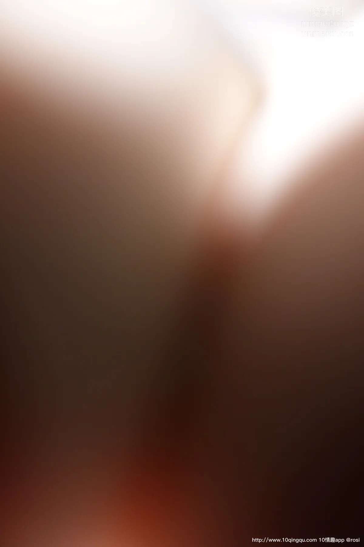 ROSI No. 1587 photo 6