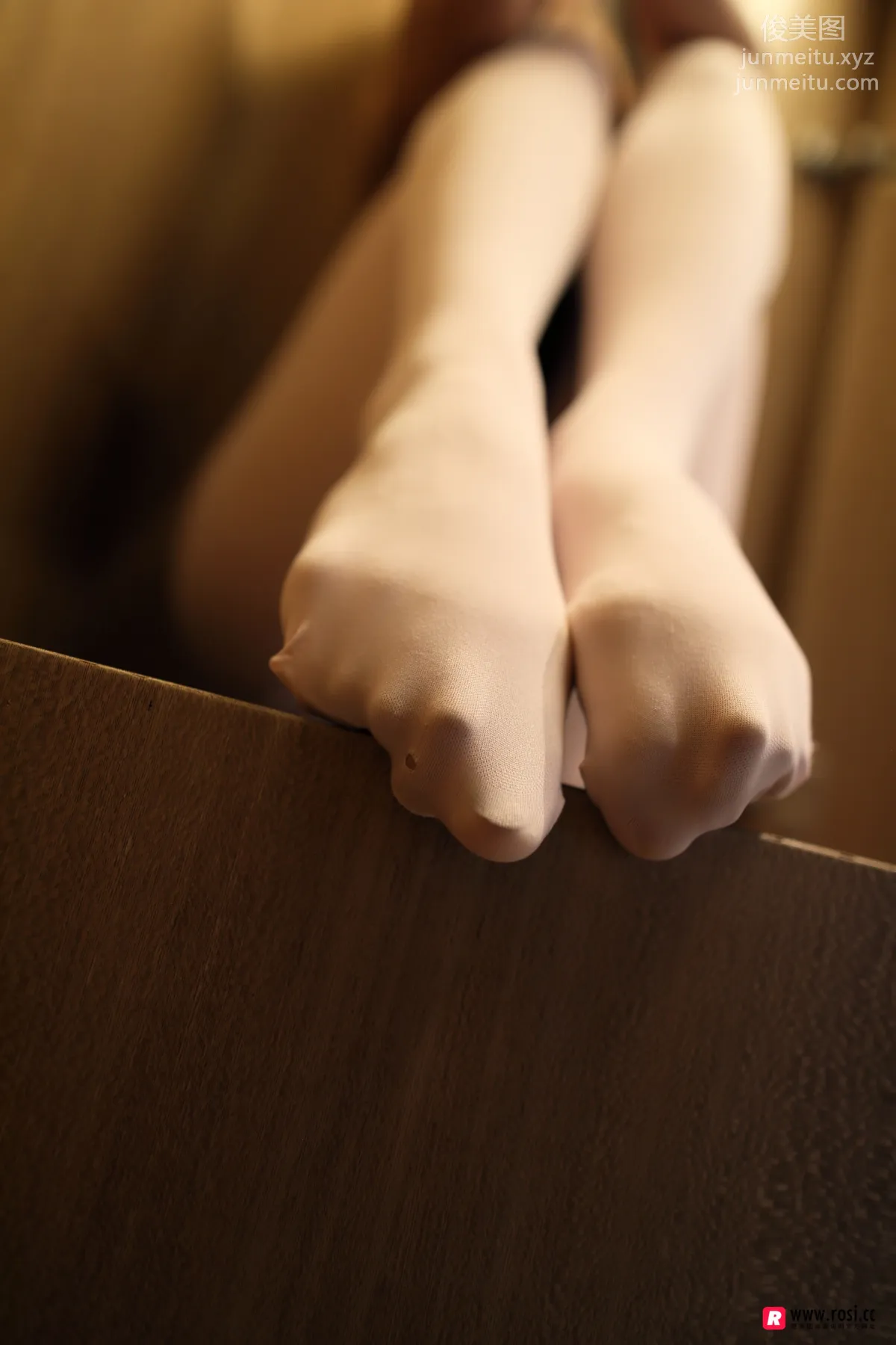 ROSI No. 0006 photo 22