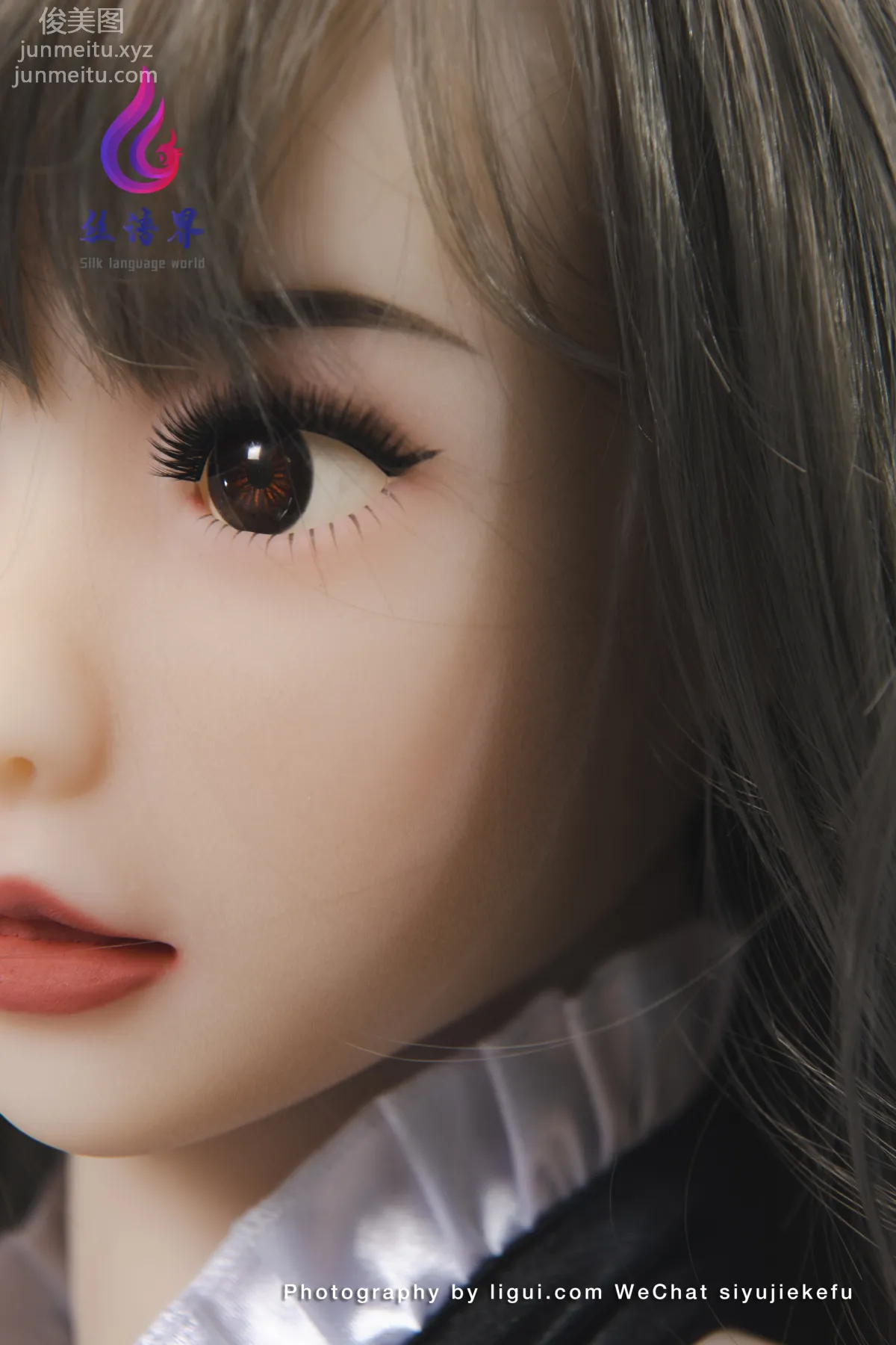 Ligui photo 10