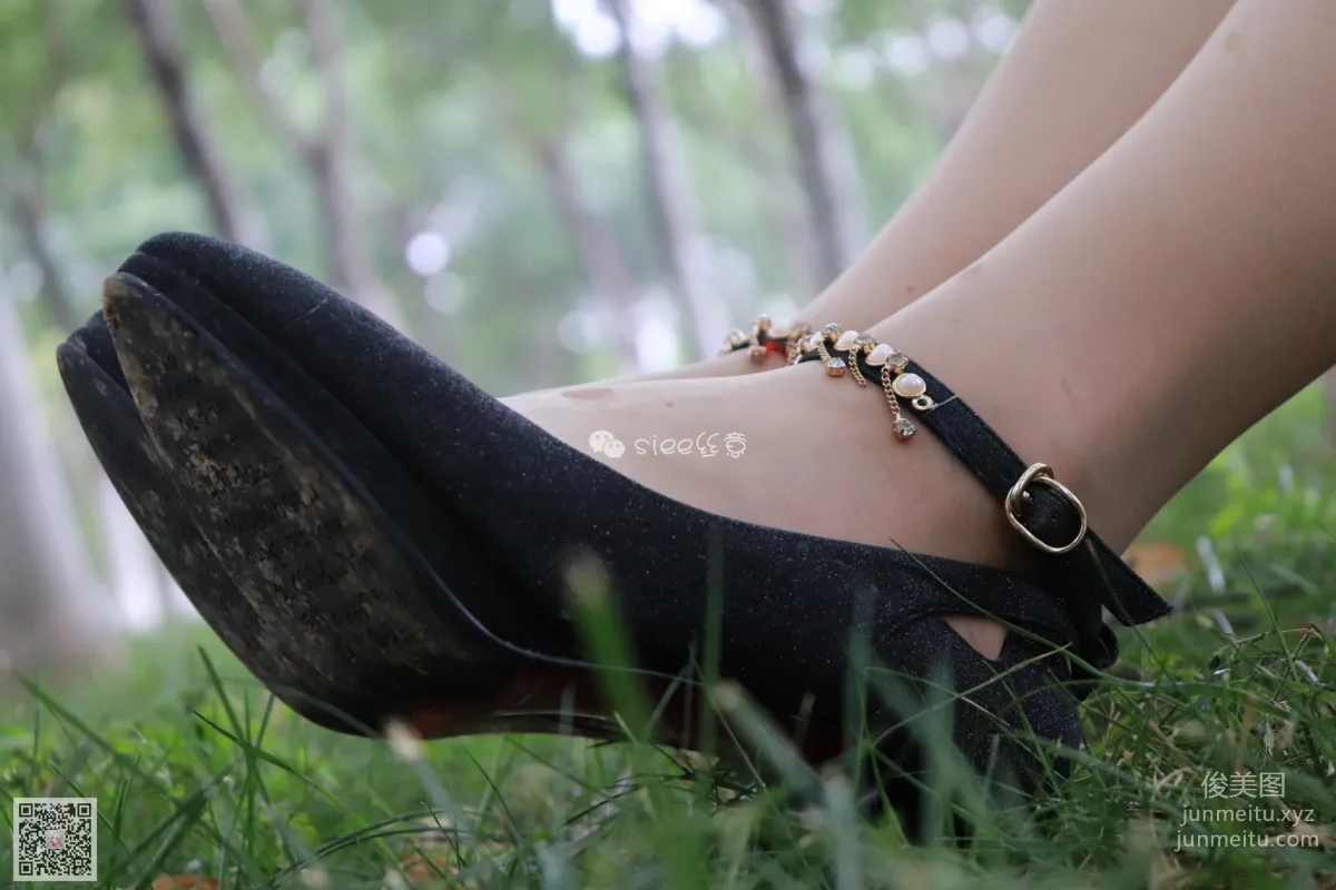 SIEE No. 119 photo 47