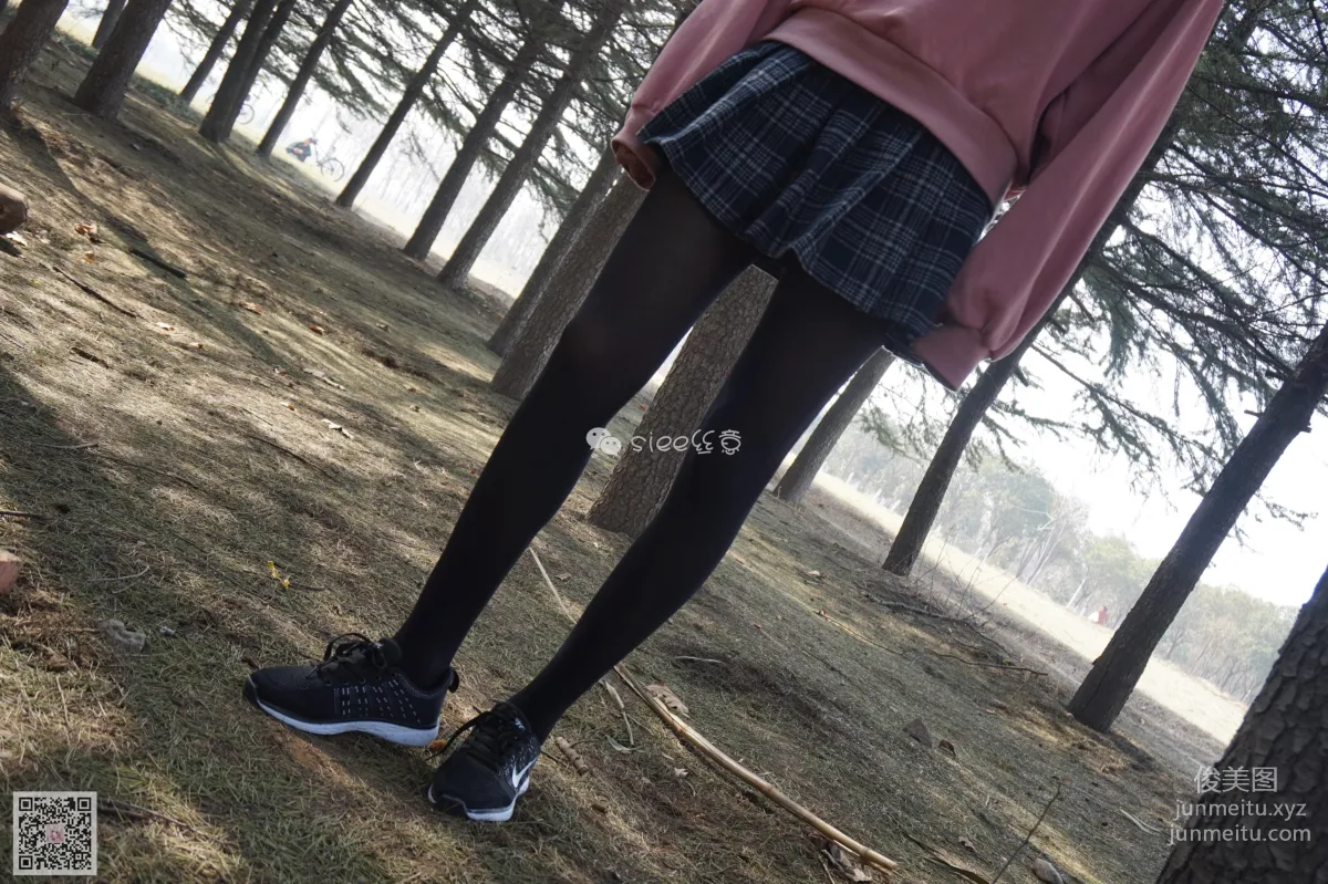 SIEE No. 073 photo 5