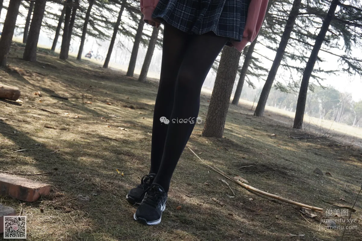 SIEE No. 073 photo 6