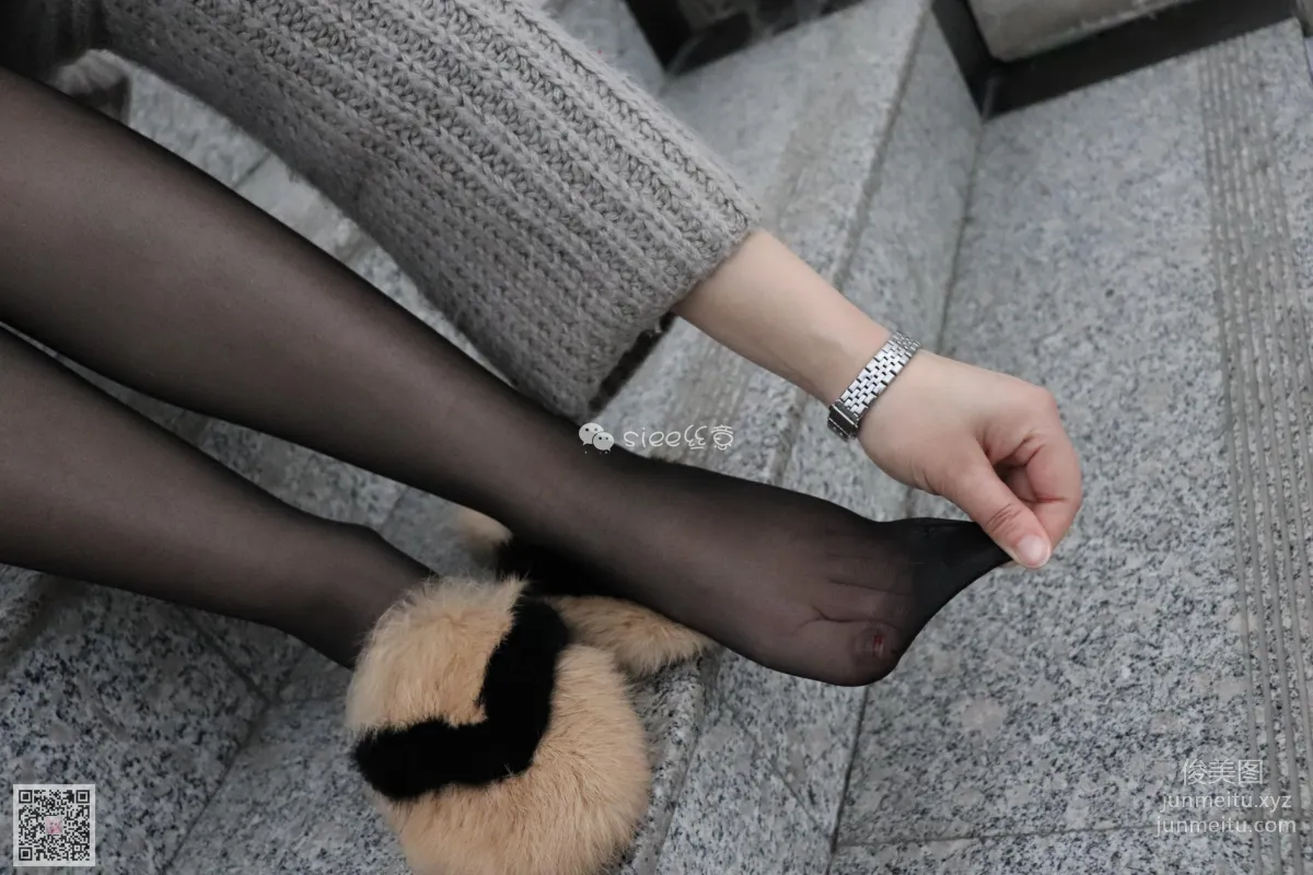 SIEE No. 069 photo 42