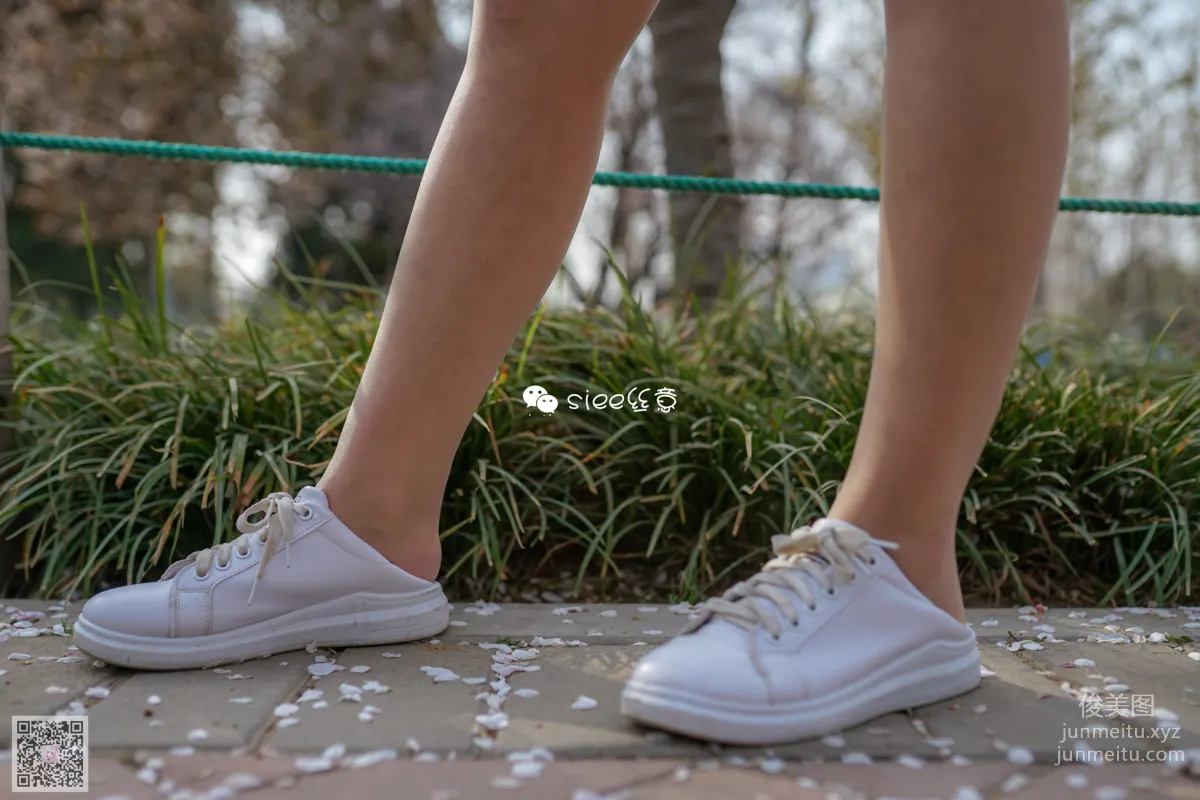 SIEE No. 02 photo 6
