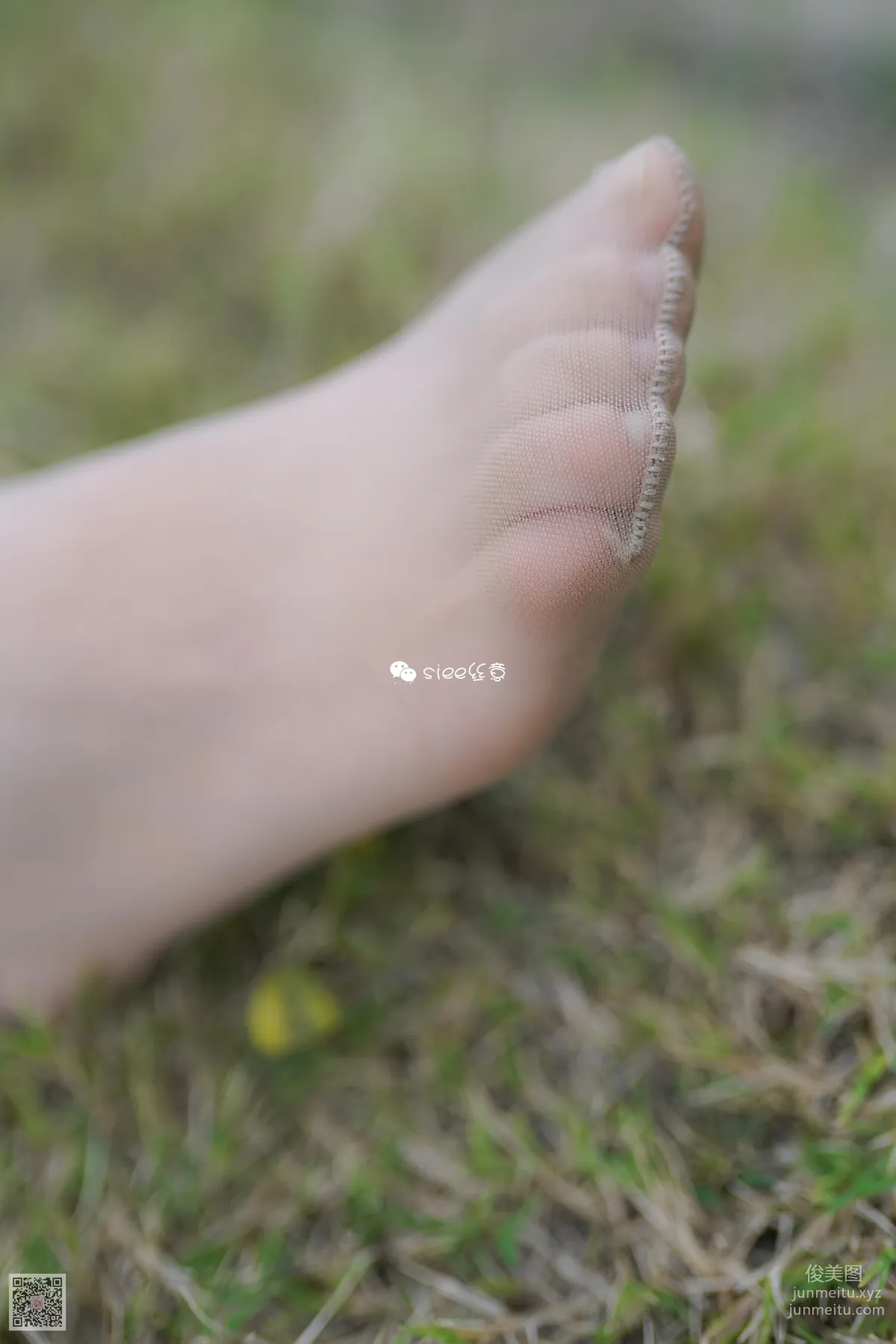 SIEE No. 191 photo 6