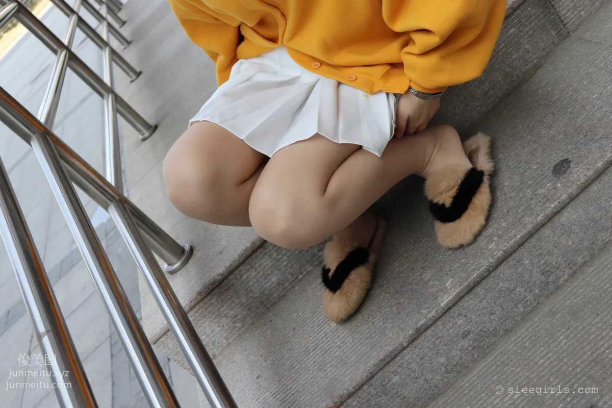 SIEE No. 056 photo 15