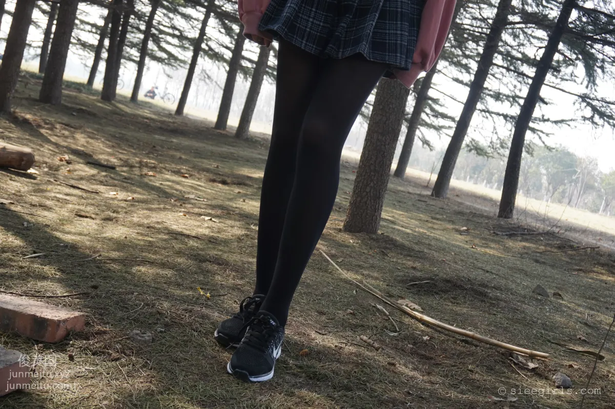 SIEE No. 052 photo 50